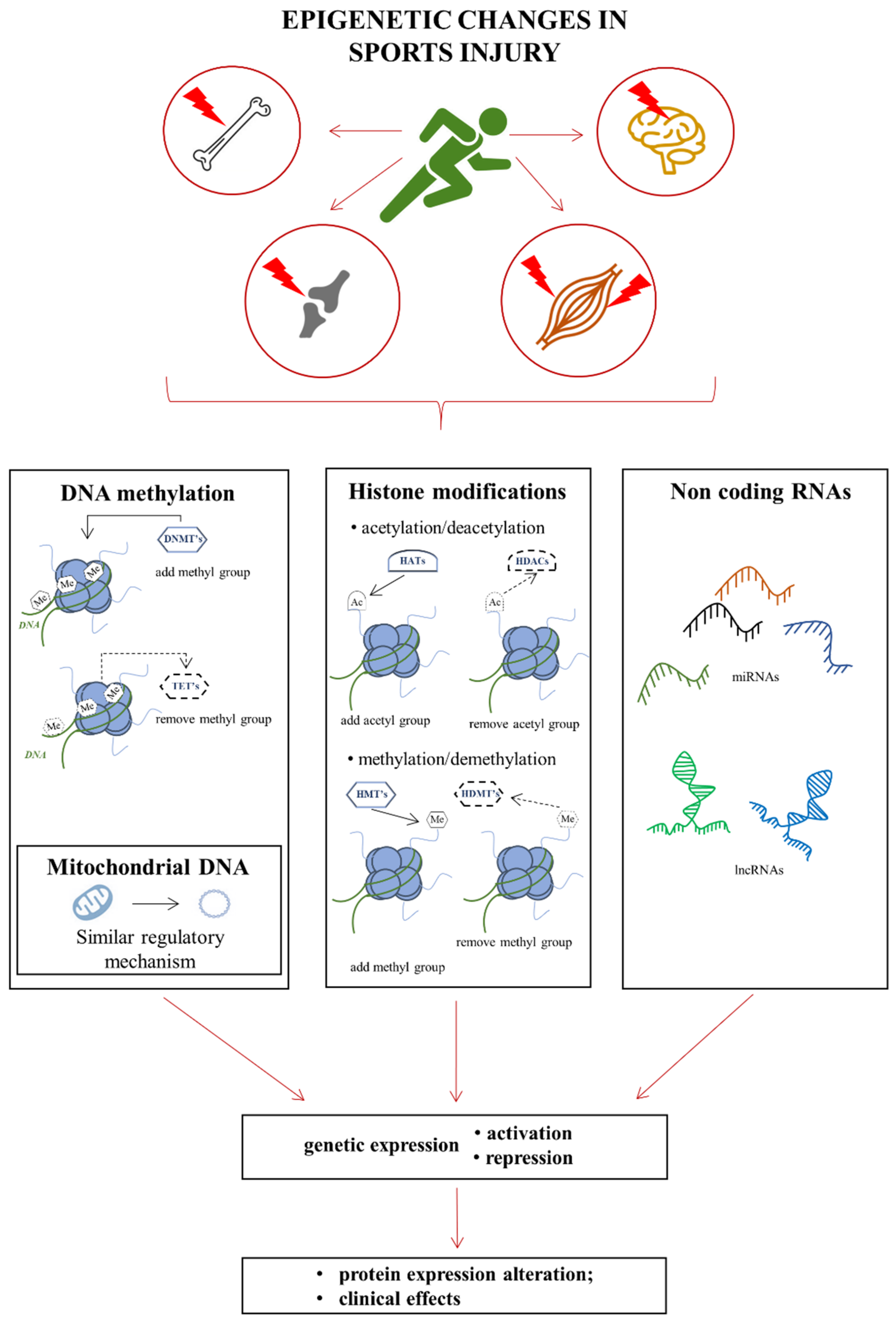 Genes 13 01471 g001 Genes 13 01471 g001