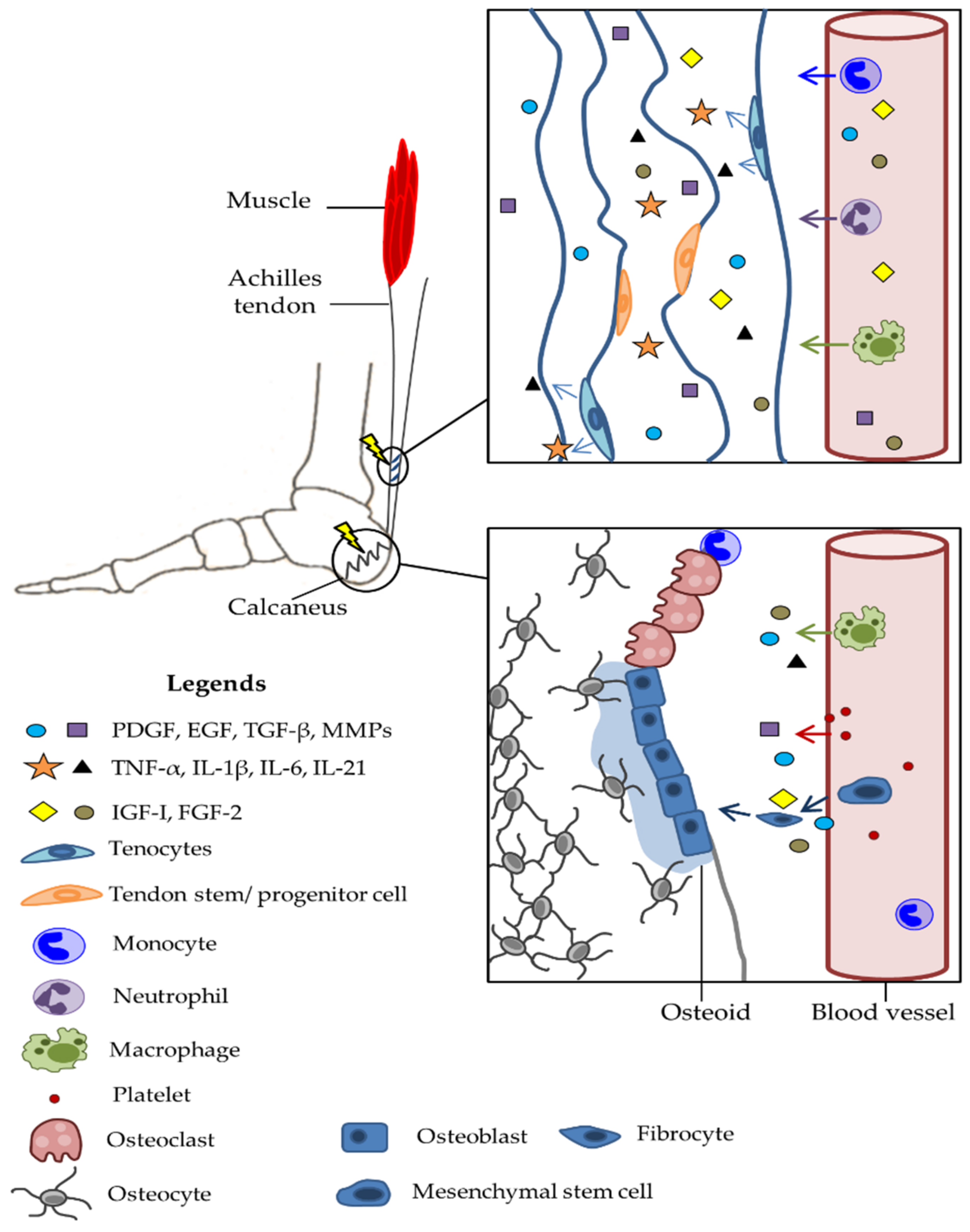Genes 13 01471 g002 Genes 13 01471 g002