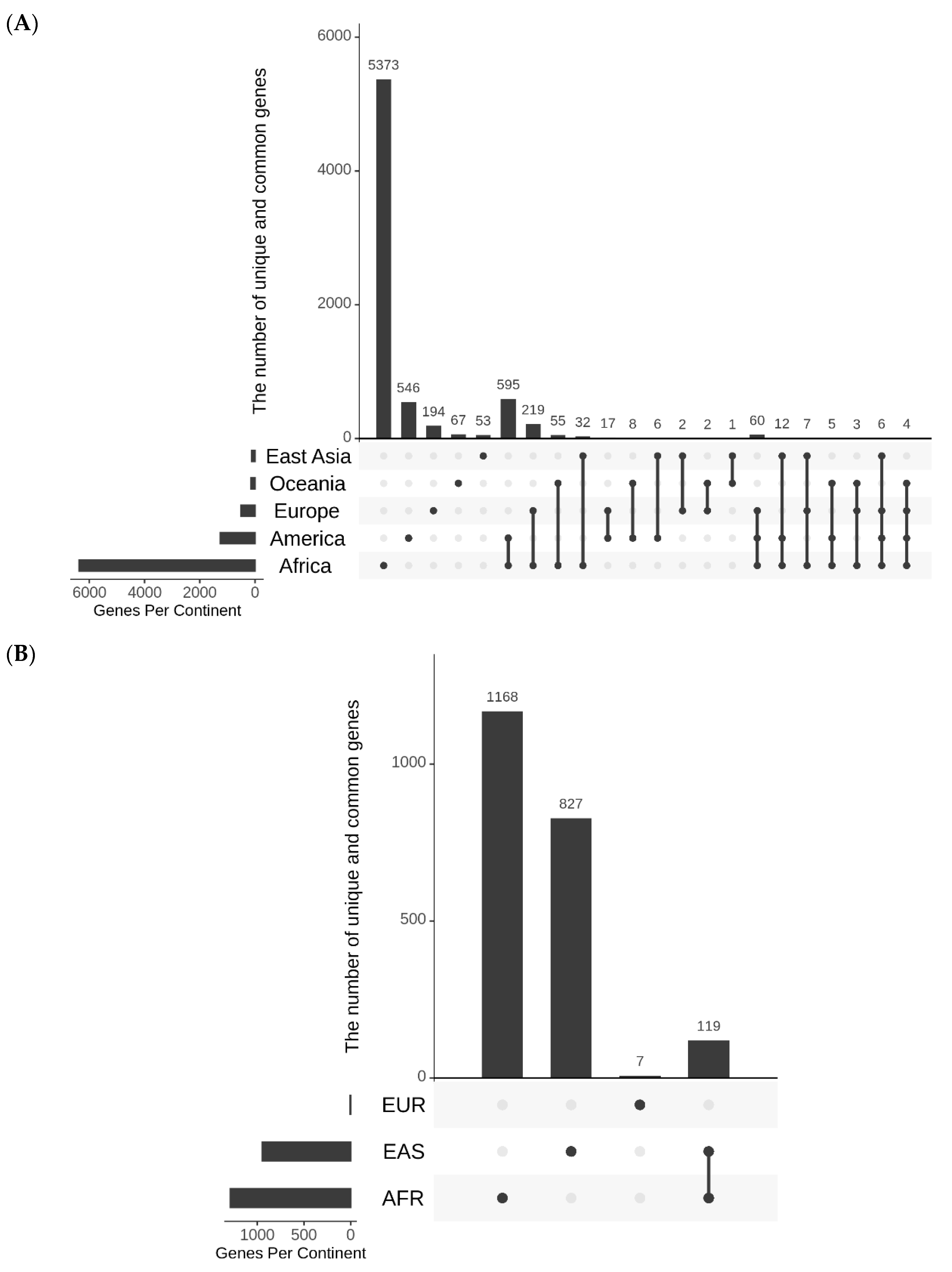 Genes 13 01472 g004 Genes 13 01472 g004