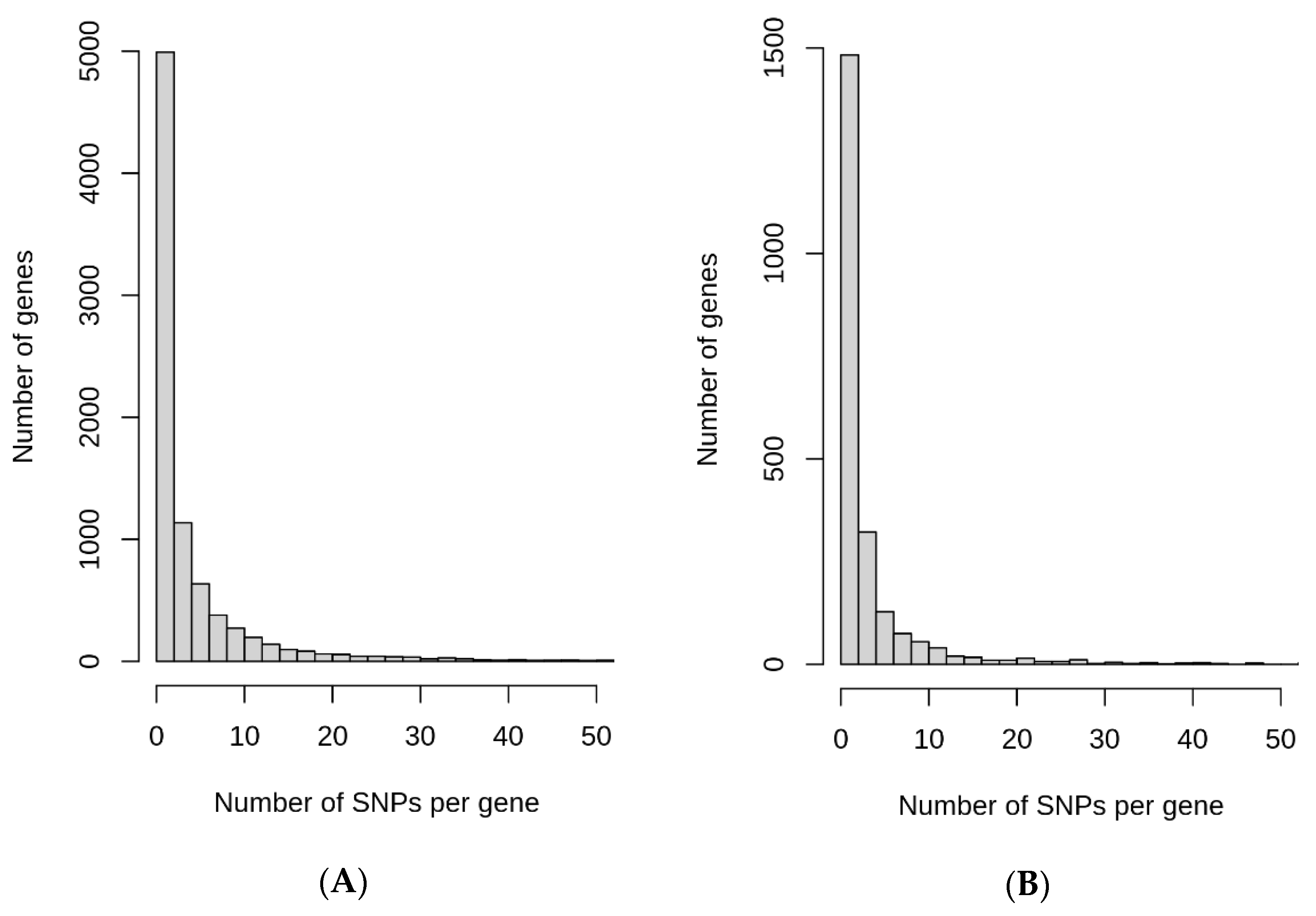 Genes 13 01472 g005 Genes 13 01472 g005