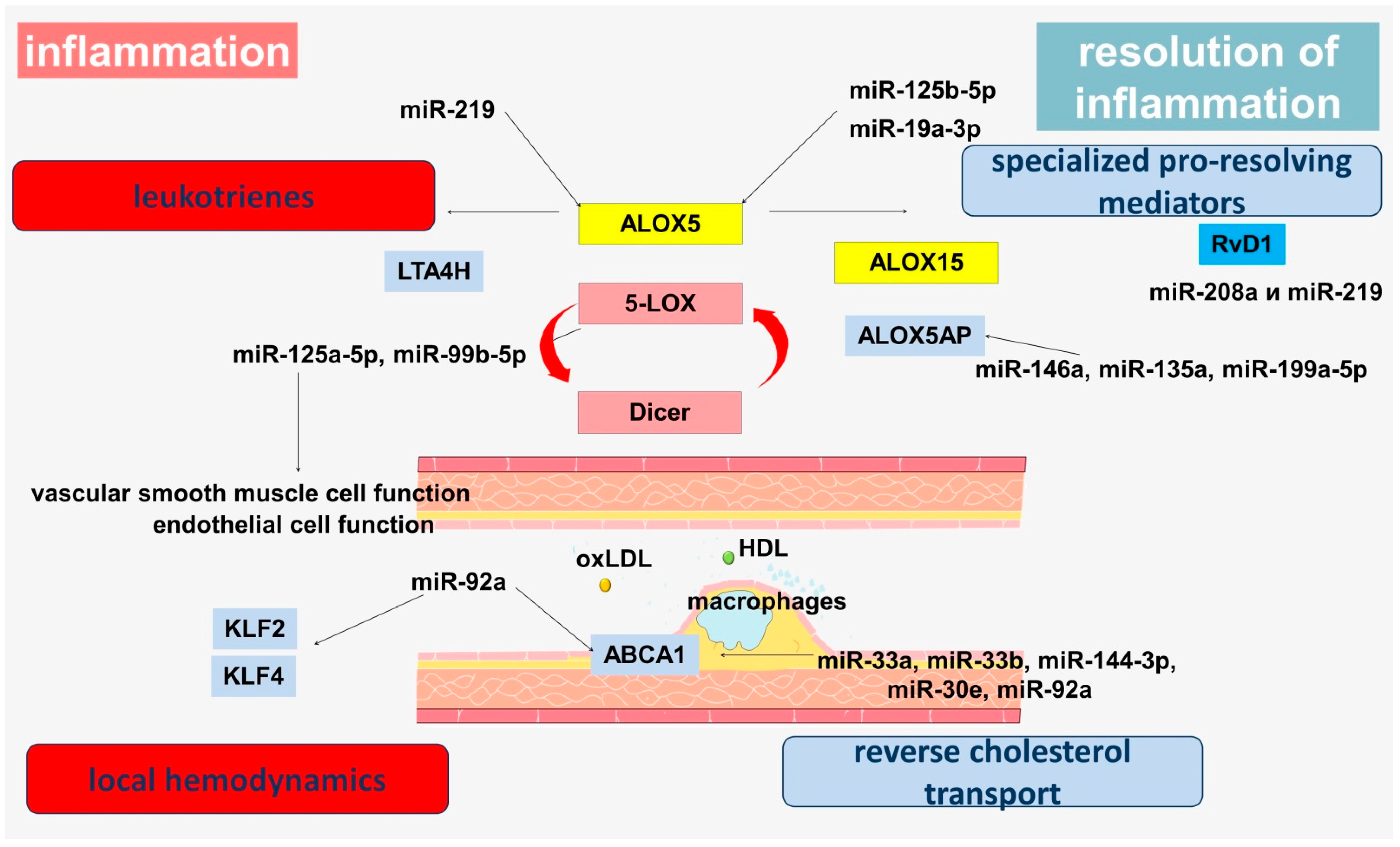 Genes 13 01474 g002