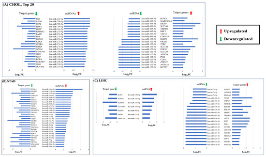 Genes 13 01528 g0a2 550