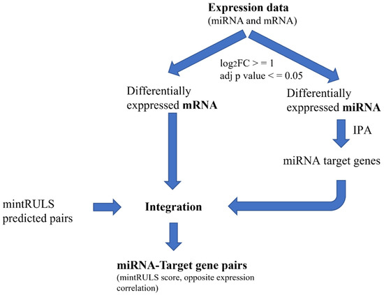 Genes 13 01528 g0a3 550