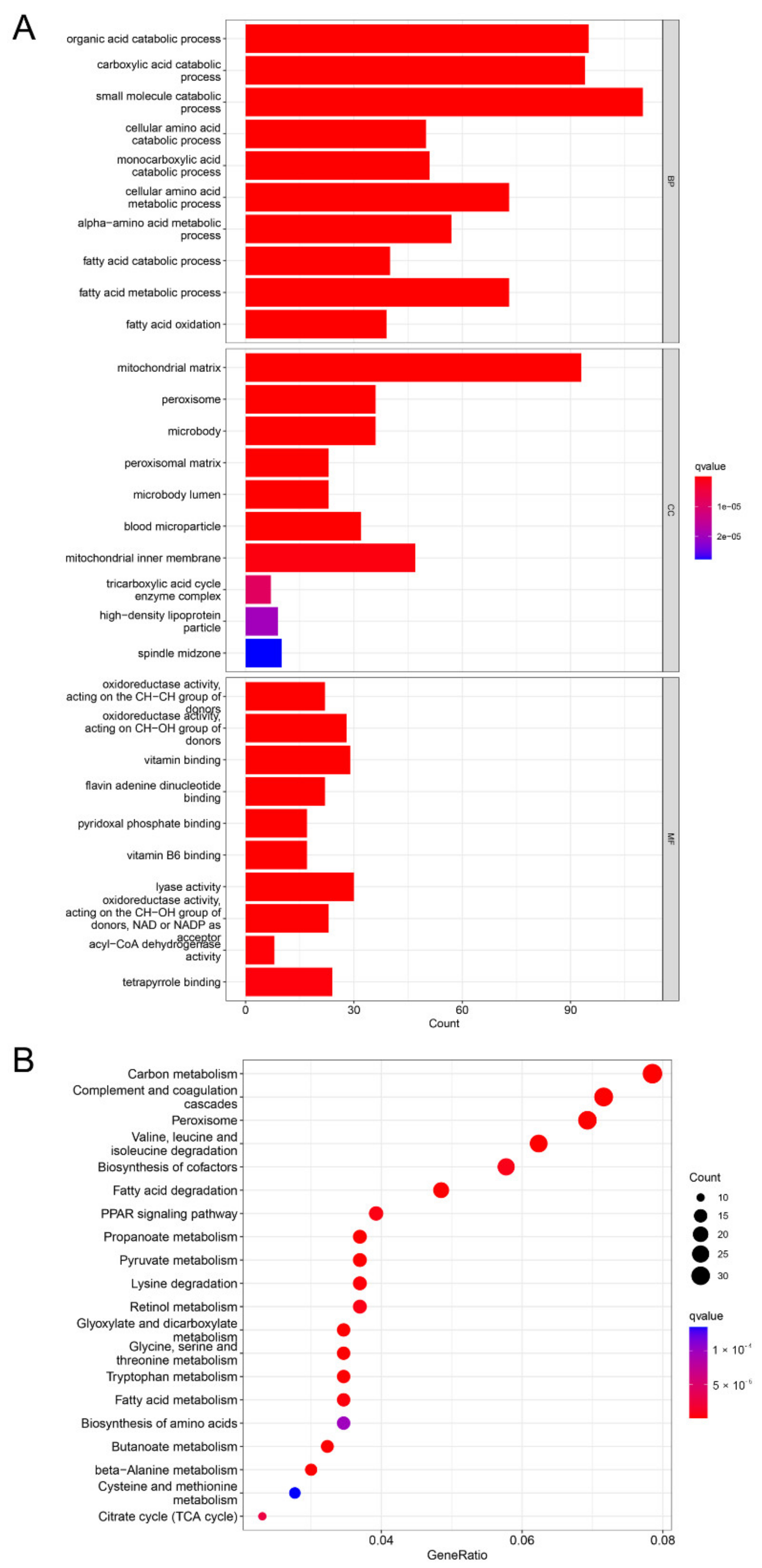 Genes 13 01535 g004 Genes 13 01535 g004