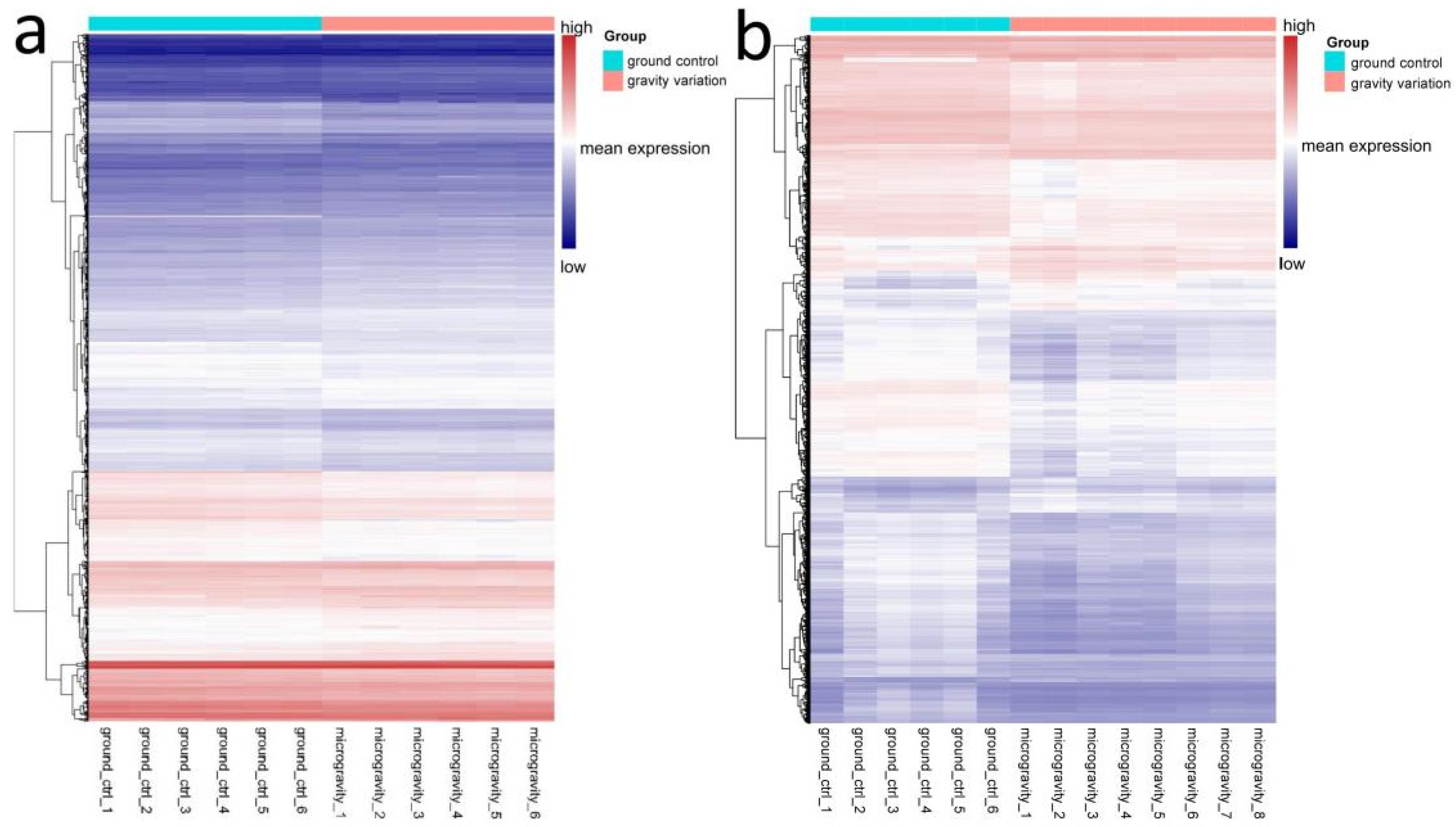 Genes 13 01536 g003 Genes 13 01536 g003