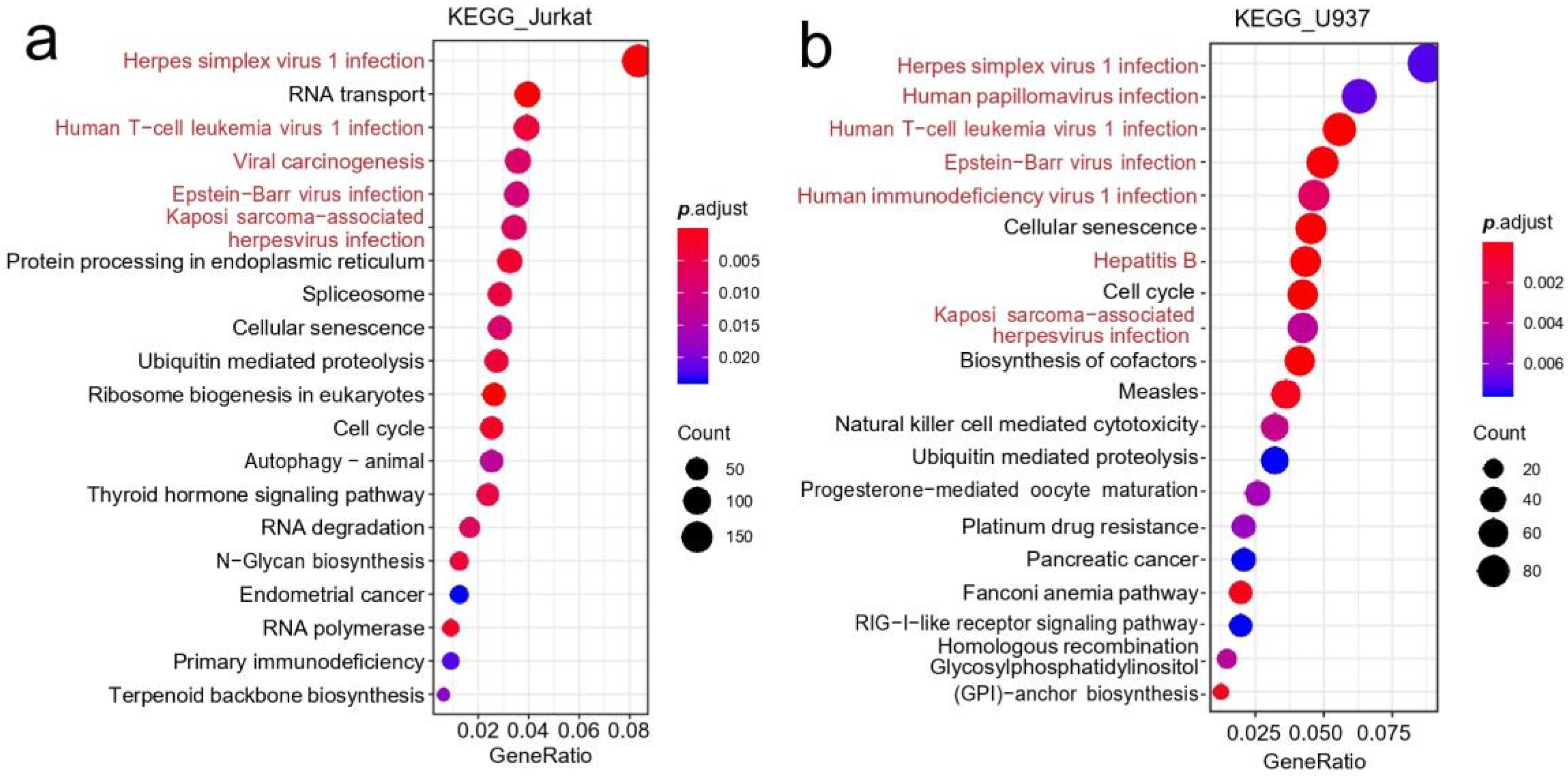 Genes 13 01536 g004 Genes 13 01536 g004
