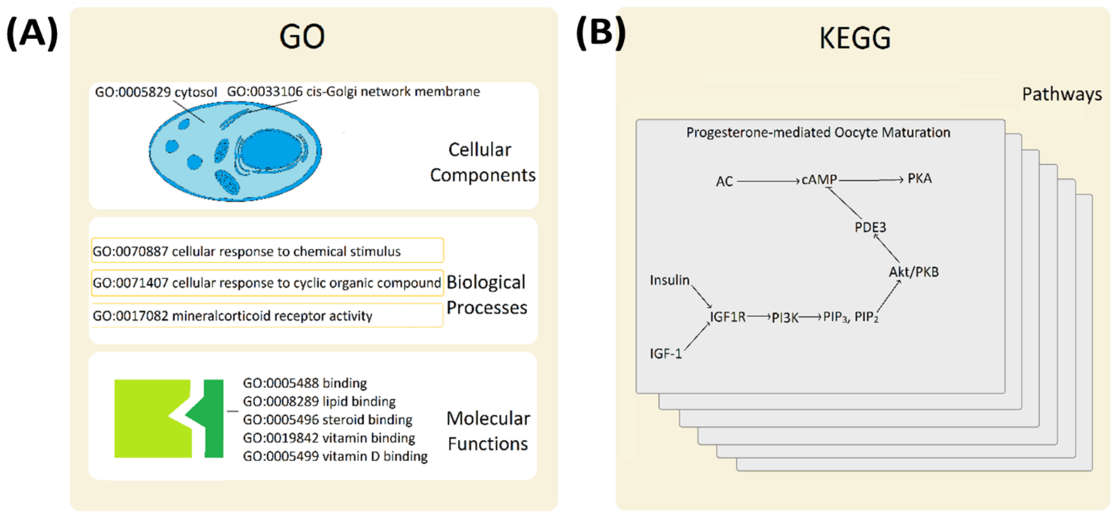 Genes 13 01538 g002