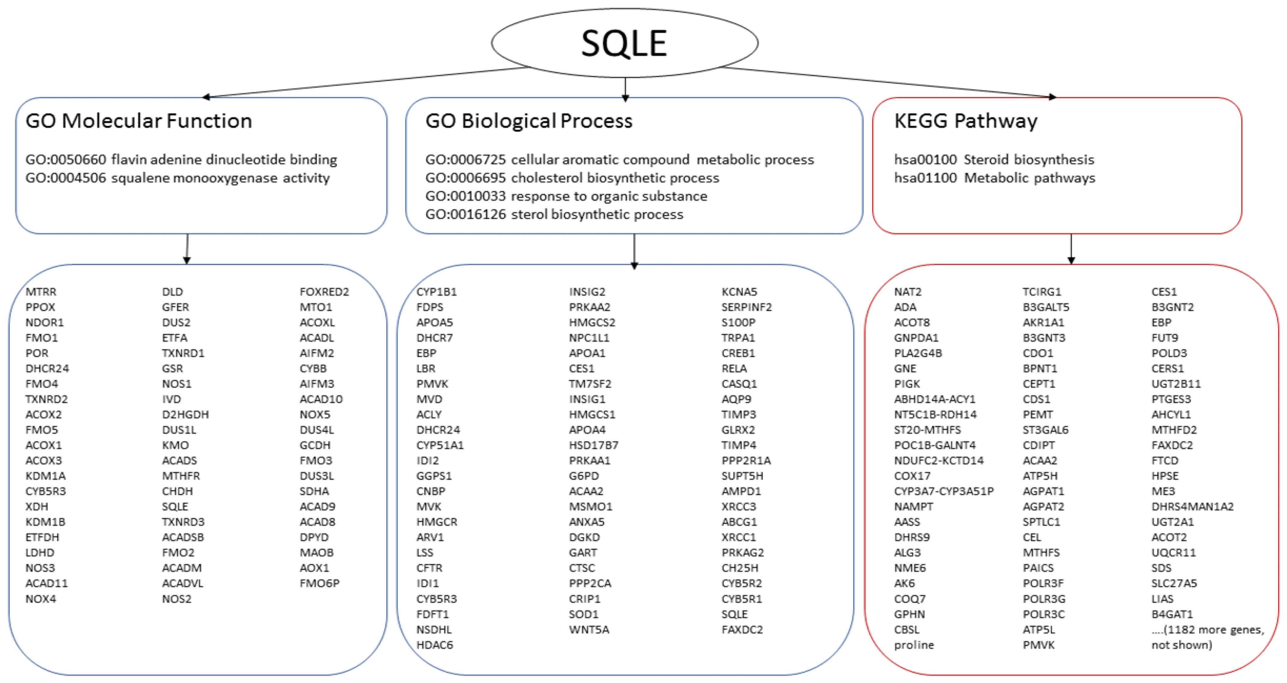 Genes 13 01538 g006