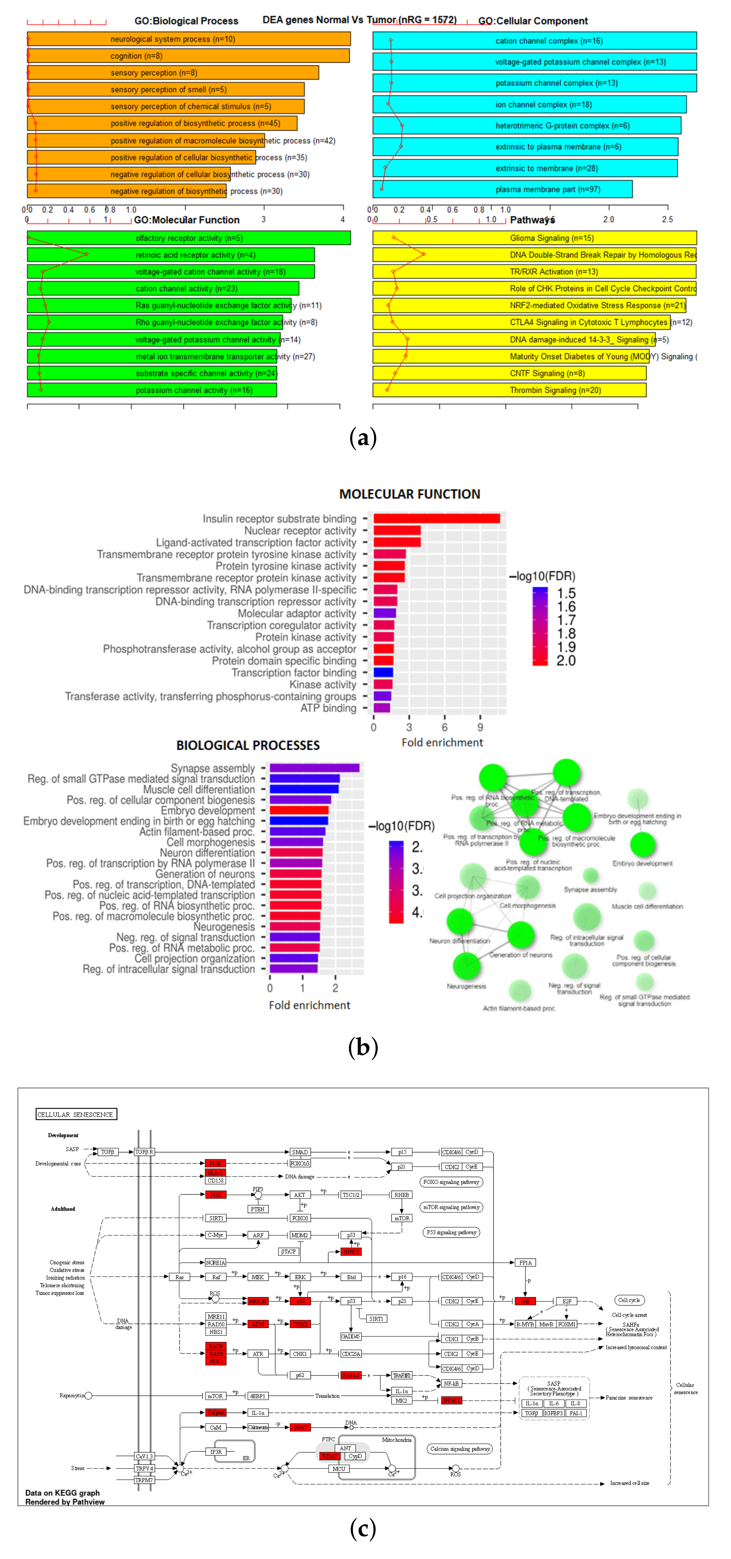 Genes 13 01557 g007