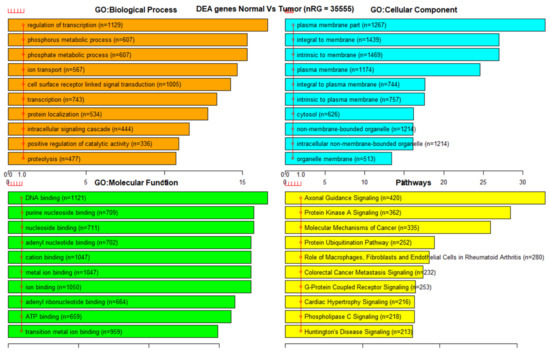 Genes 13 01557 g0a3 550