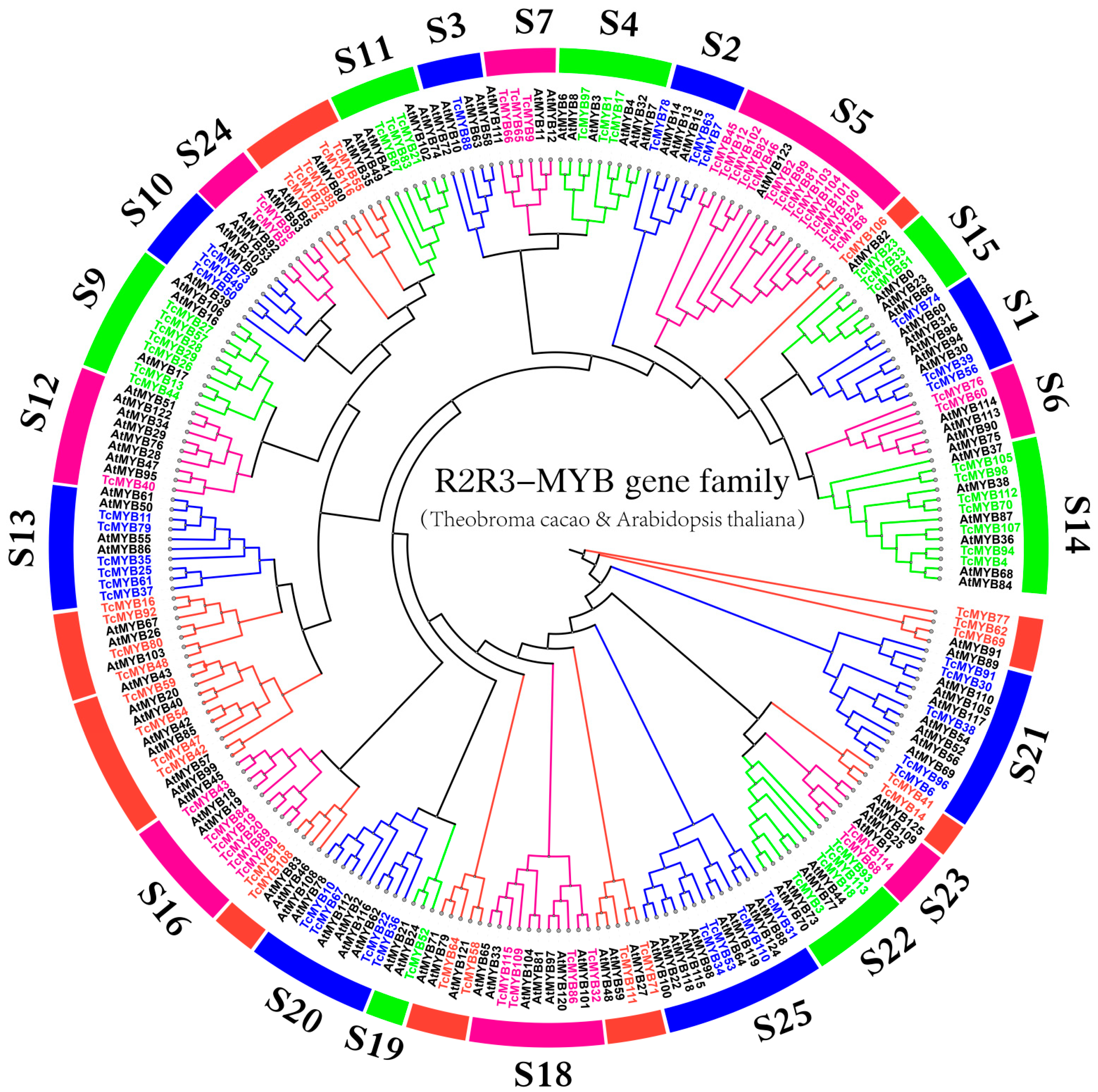Genes 13 01572 g001 Genes 13 01572 g001