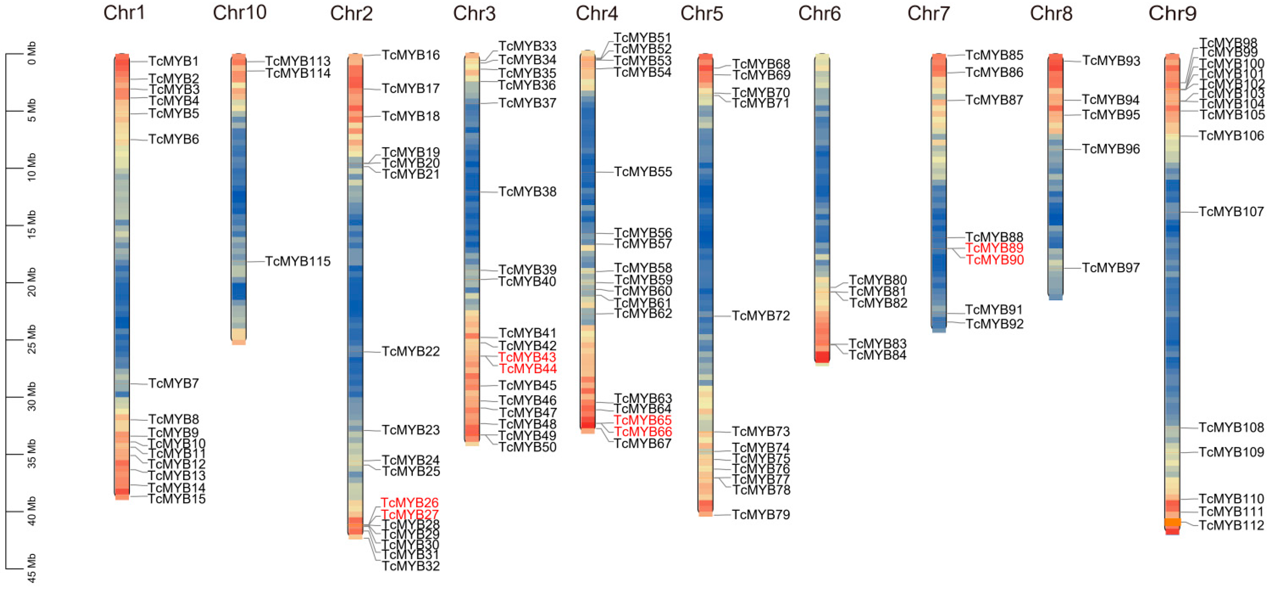 Genes 13 01572 g003 Genes 13 01572 g003