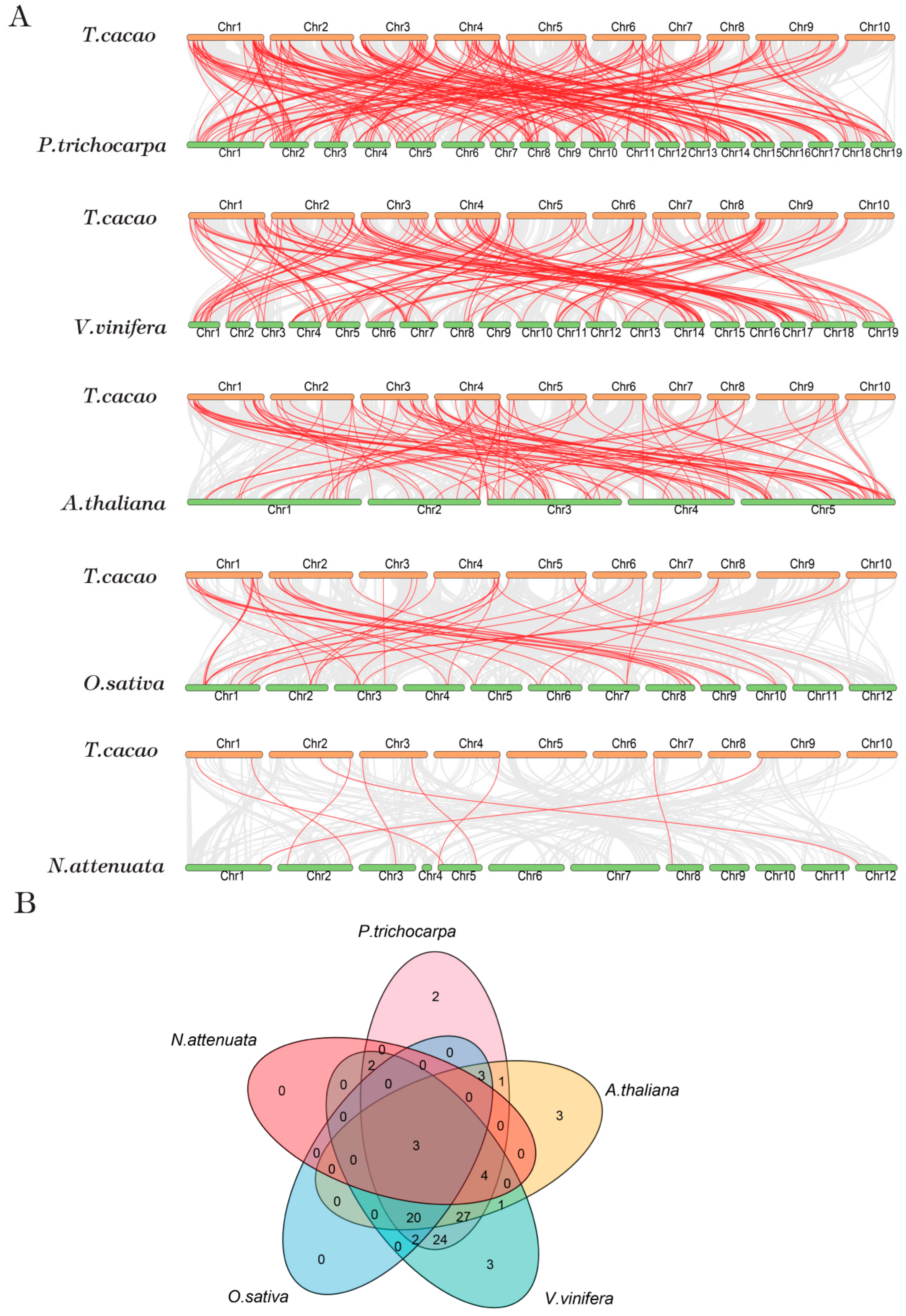 Genes 13 01572 g005 Genes 13 01572 g005