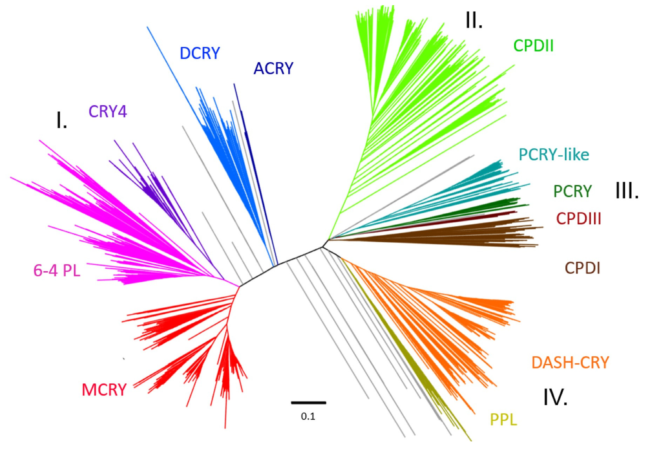 Genes 13 01613 g002 Genes 13 01613 g002