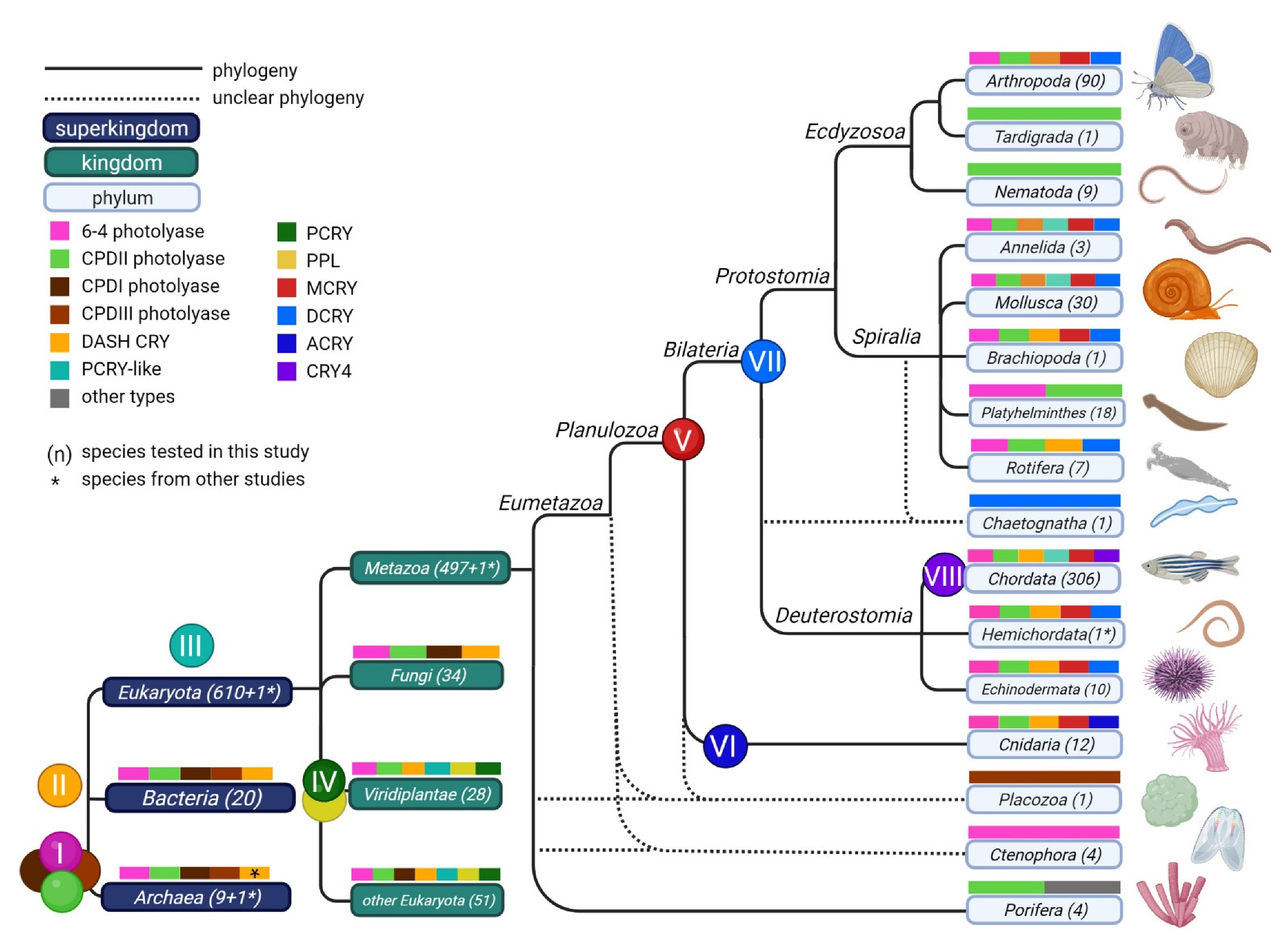 Genes 13 01613 g007 Genes 13 01613 g007