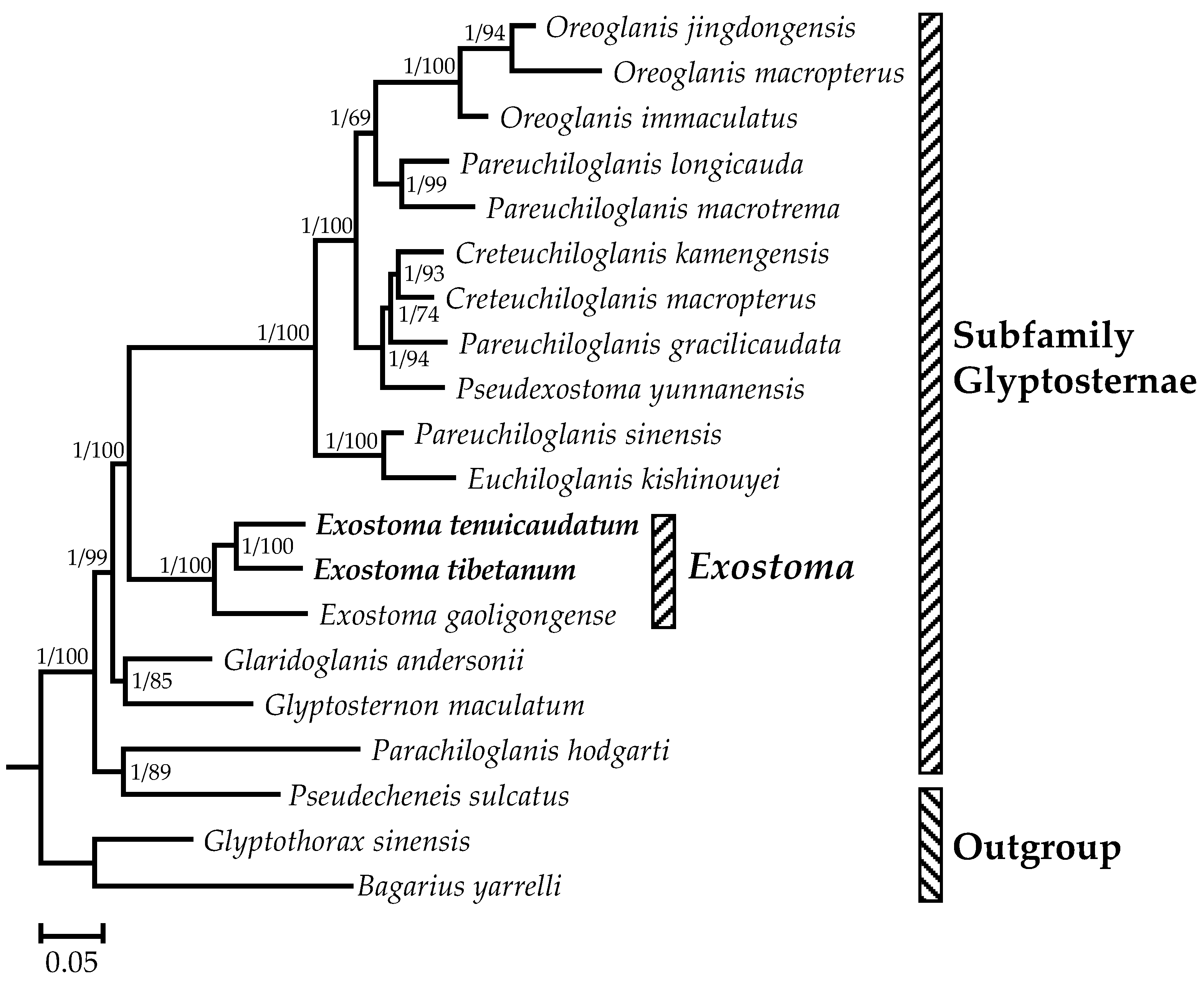 Genes 13 01615 g004 Genes 13 01615 g004