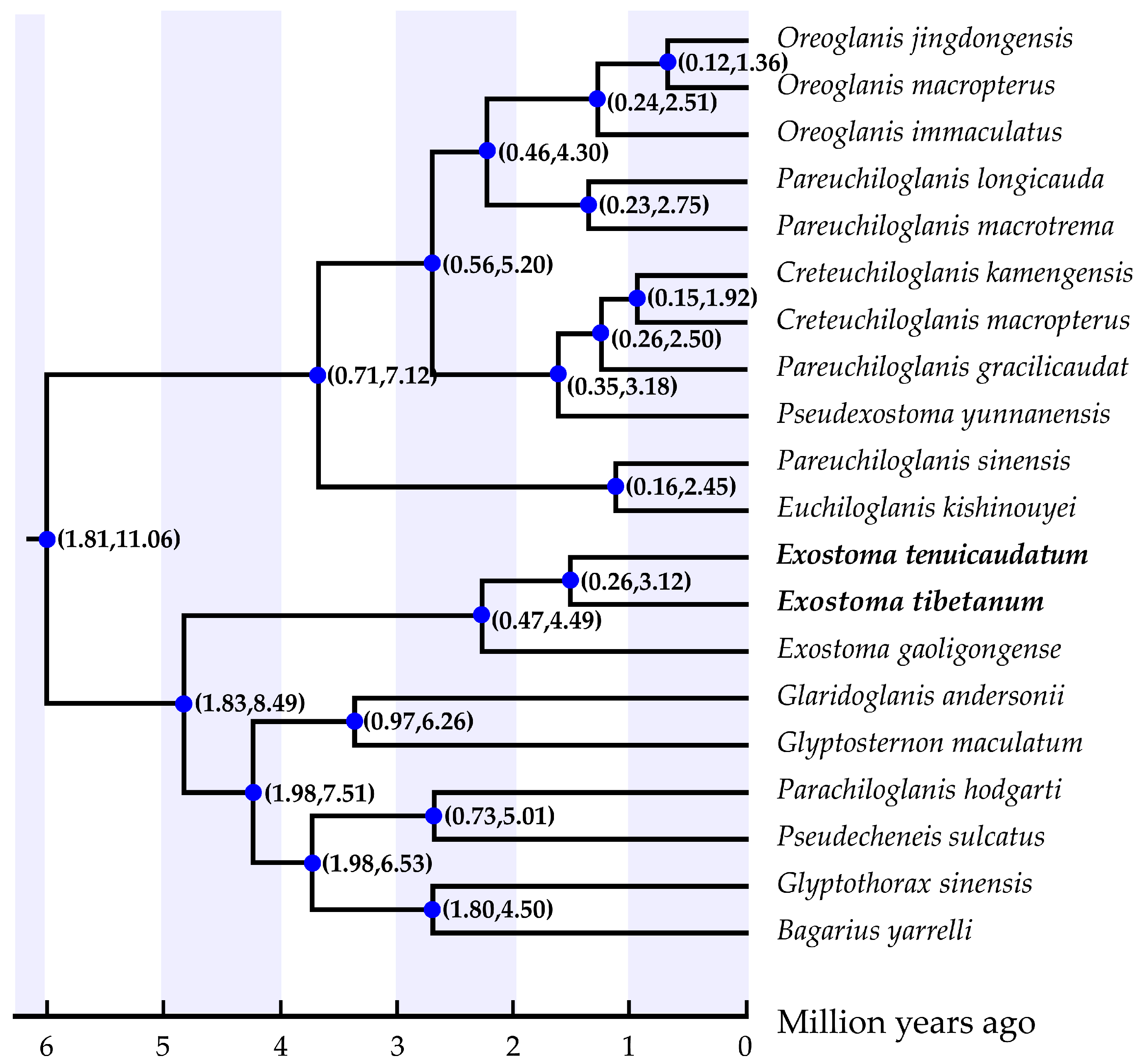 Genes 13 01615 g005 Genes 13 01615 g005