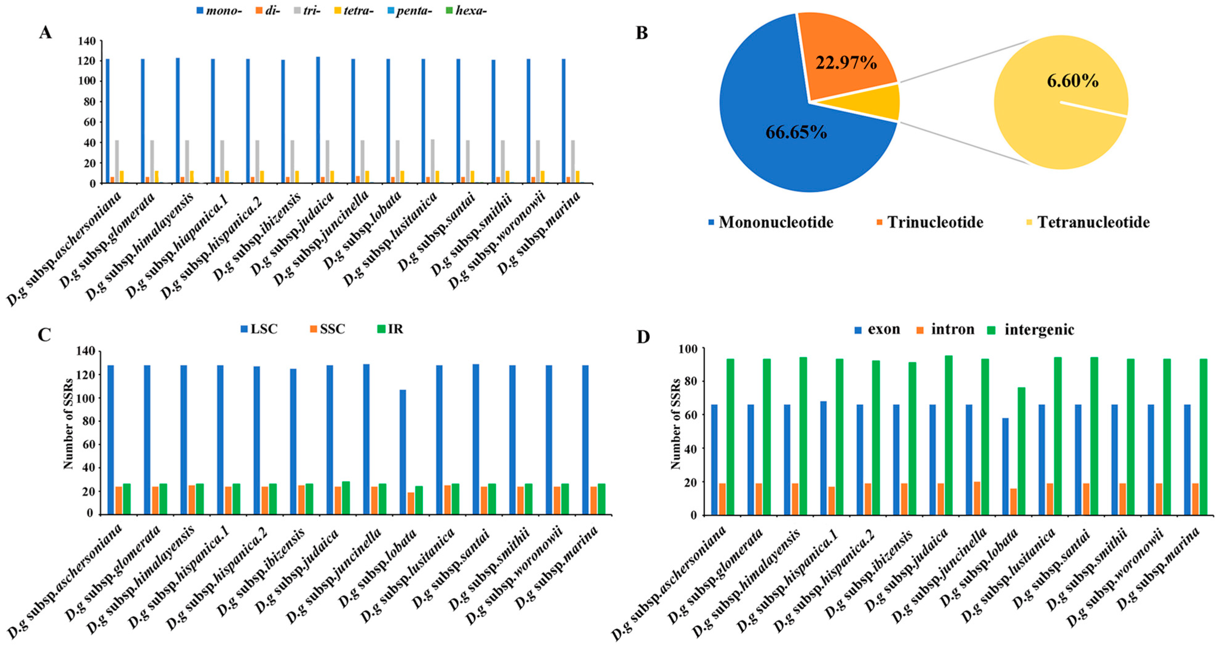 Genes 13 01621 g004