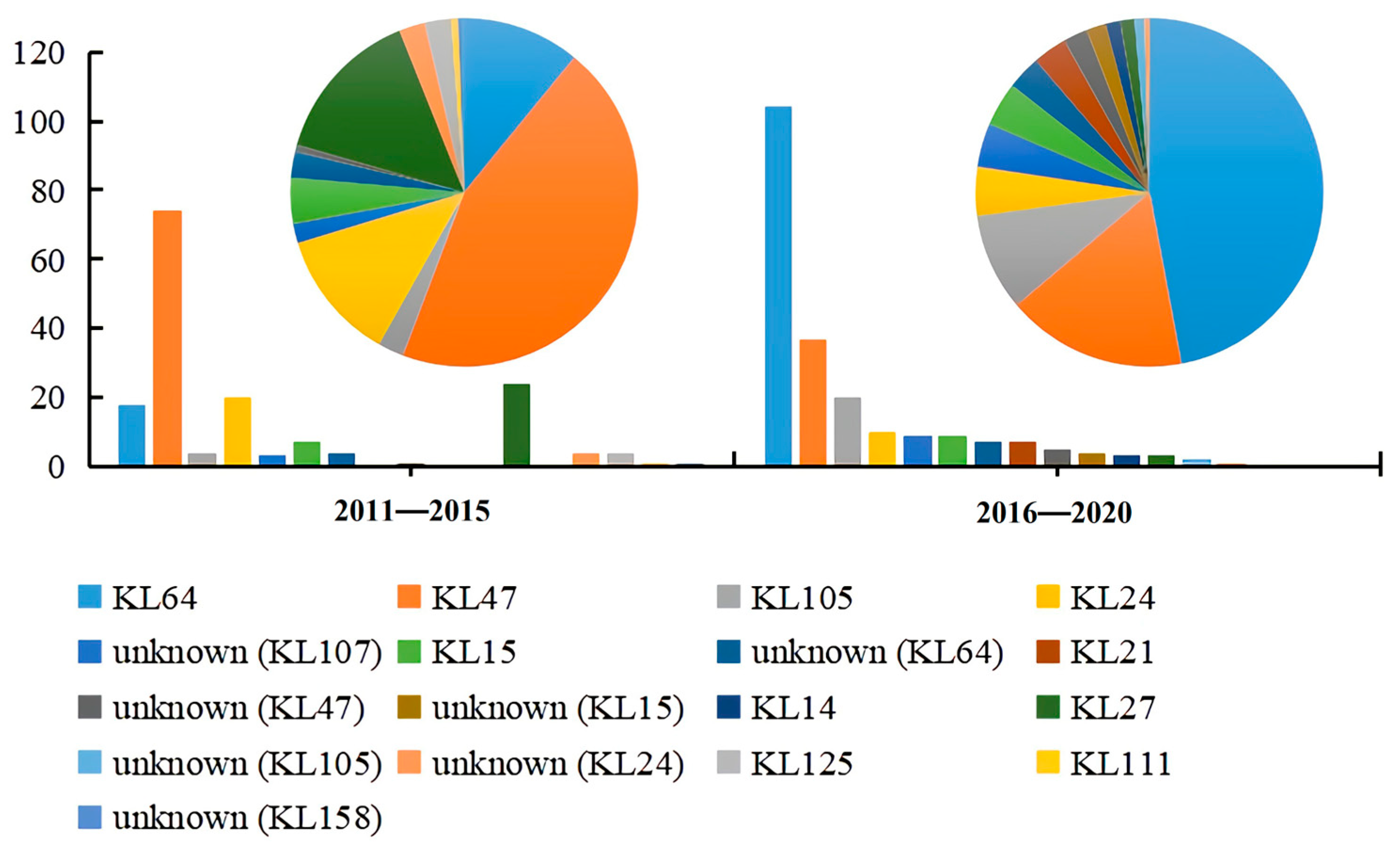 Genes 13 01624 g001