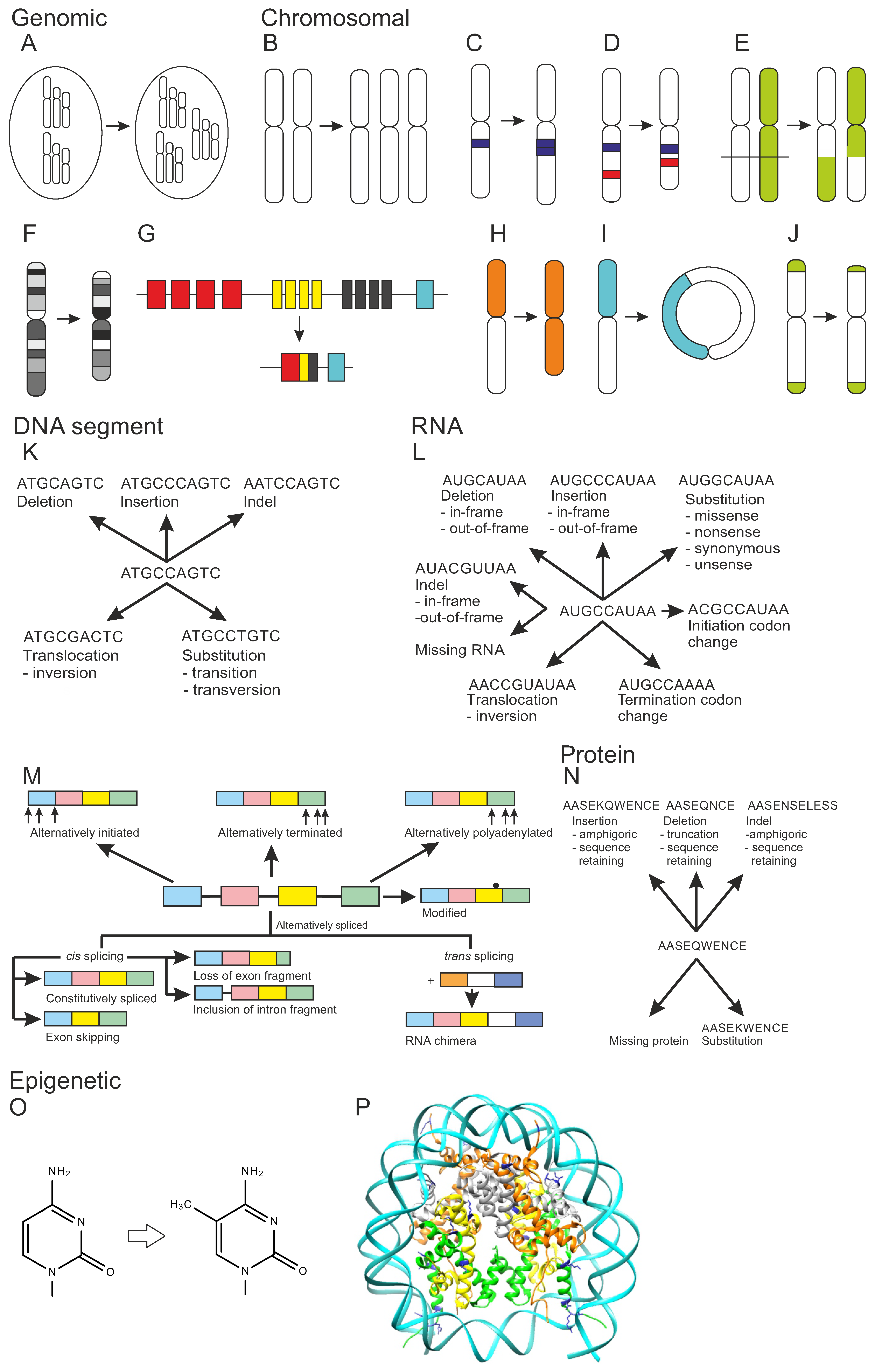 Genes 13 01626 g001 Genes 13 01626 g001