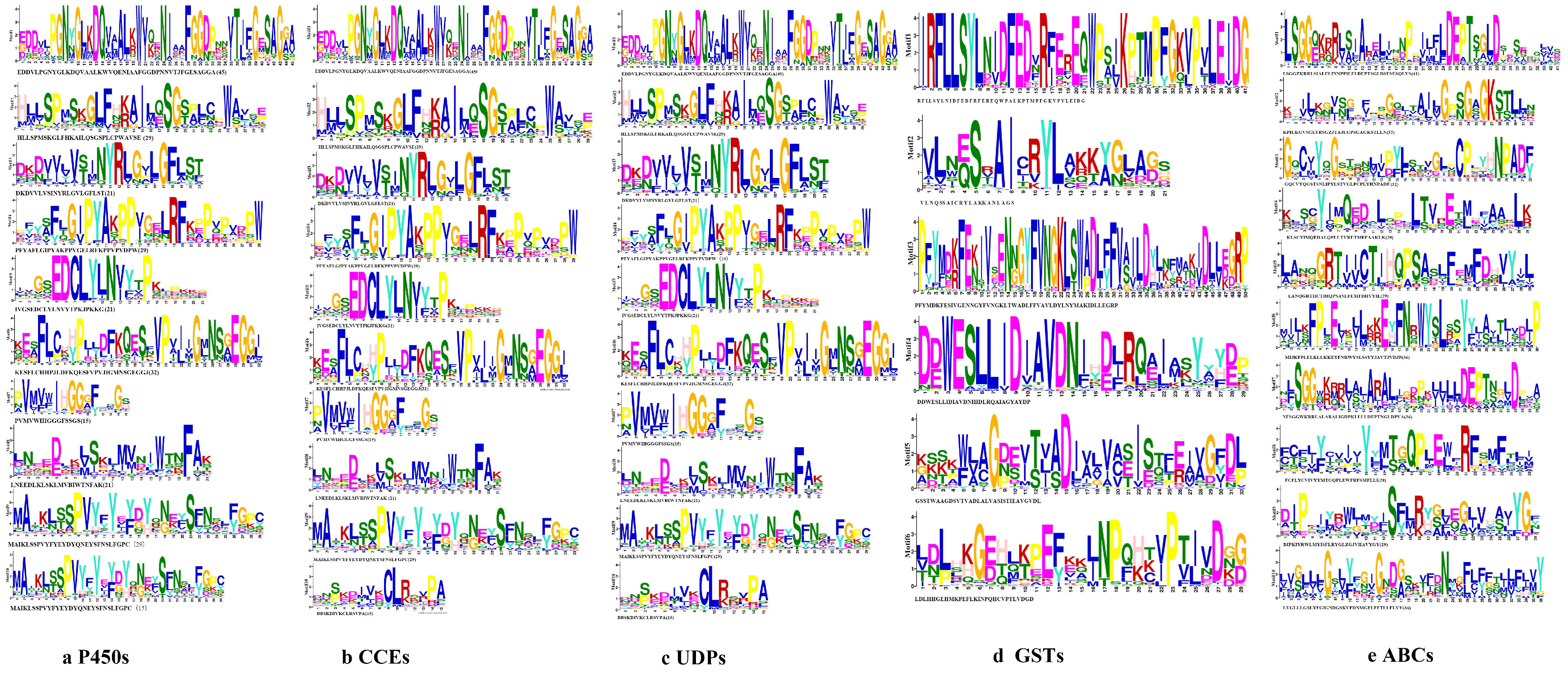 Genes 13 01627 g002