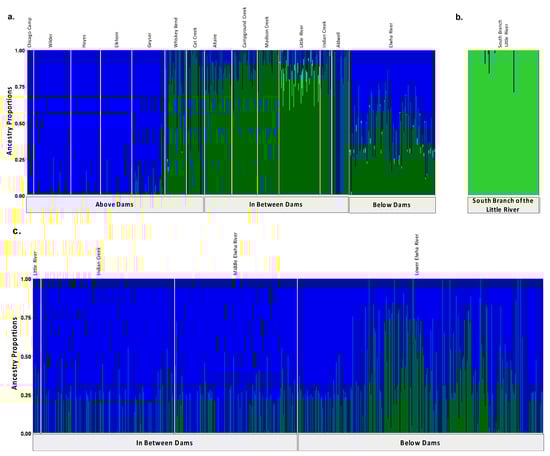 Genes 13 01638 g001 550