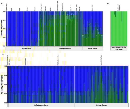 Genes 13 01638 g002 550