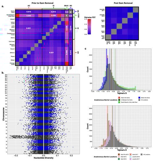 Genes 13 01638 g004 550