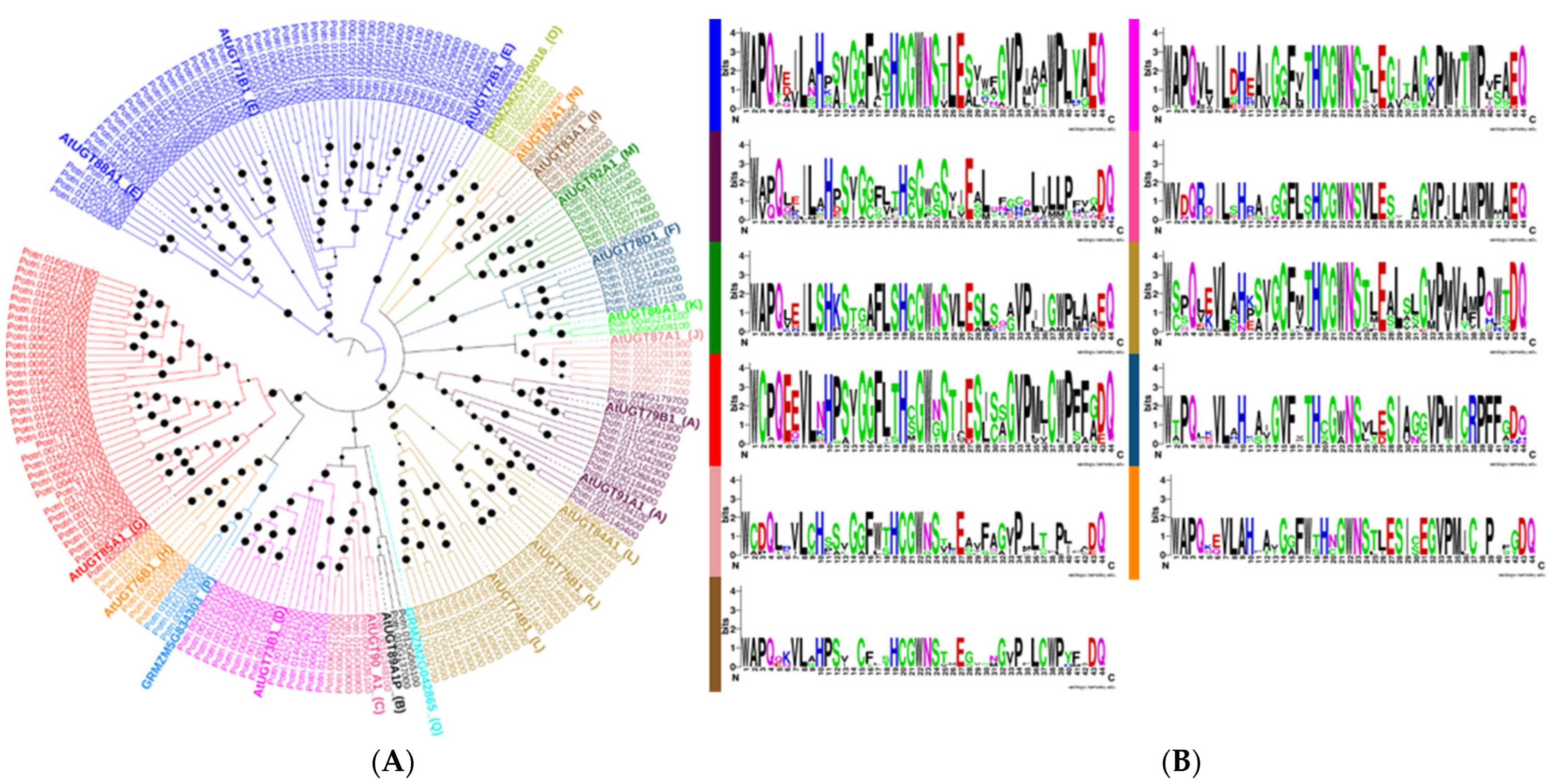 Genes 13 01640 g001