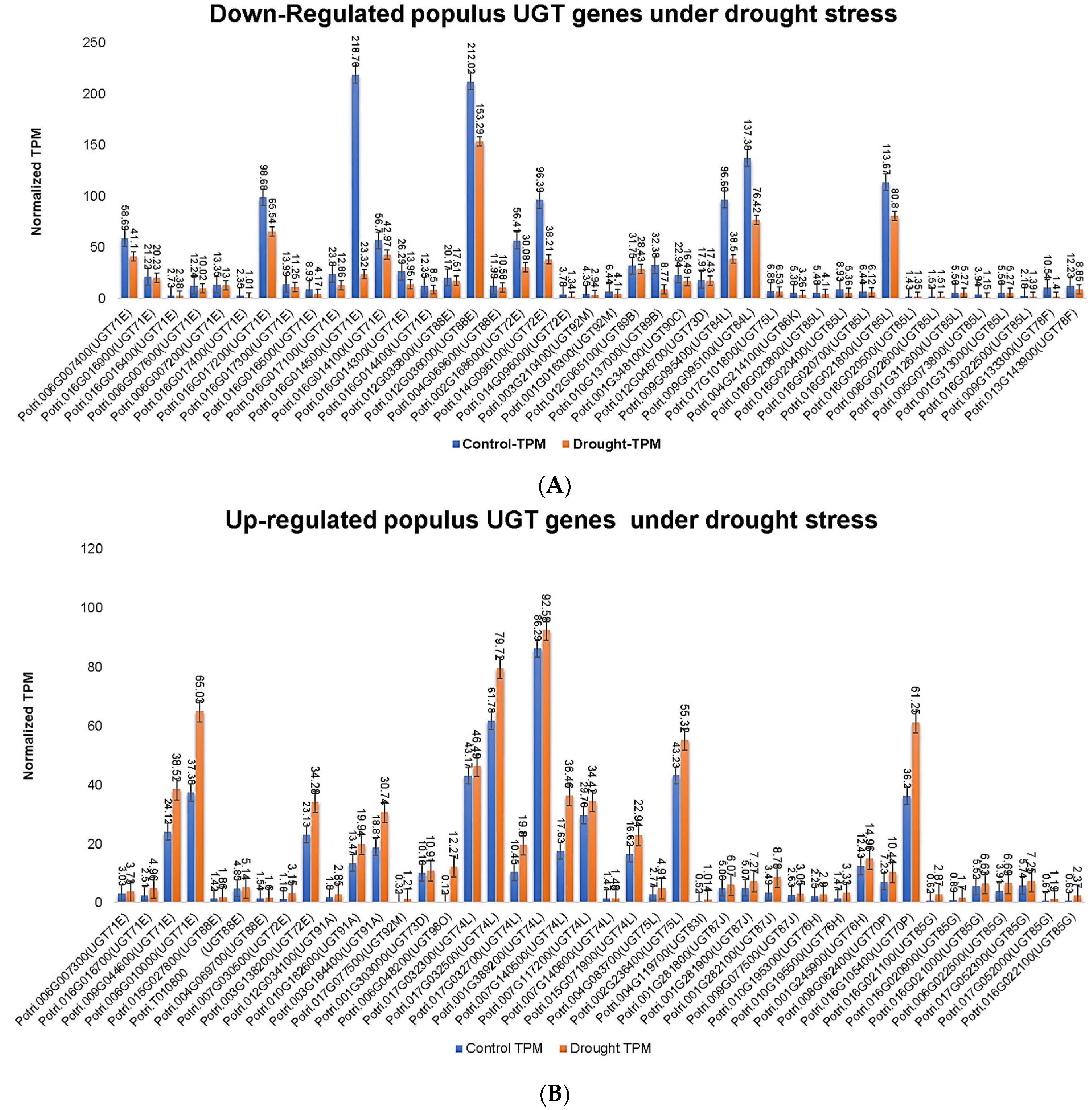 Genes 13 01640 g007