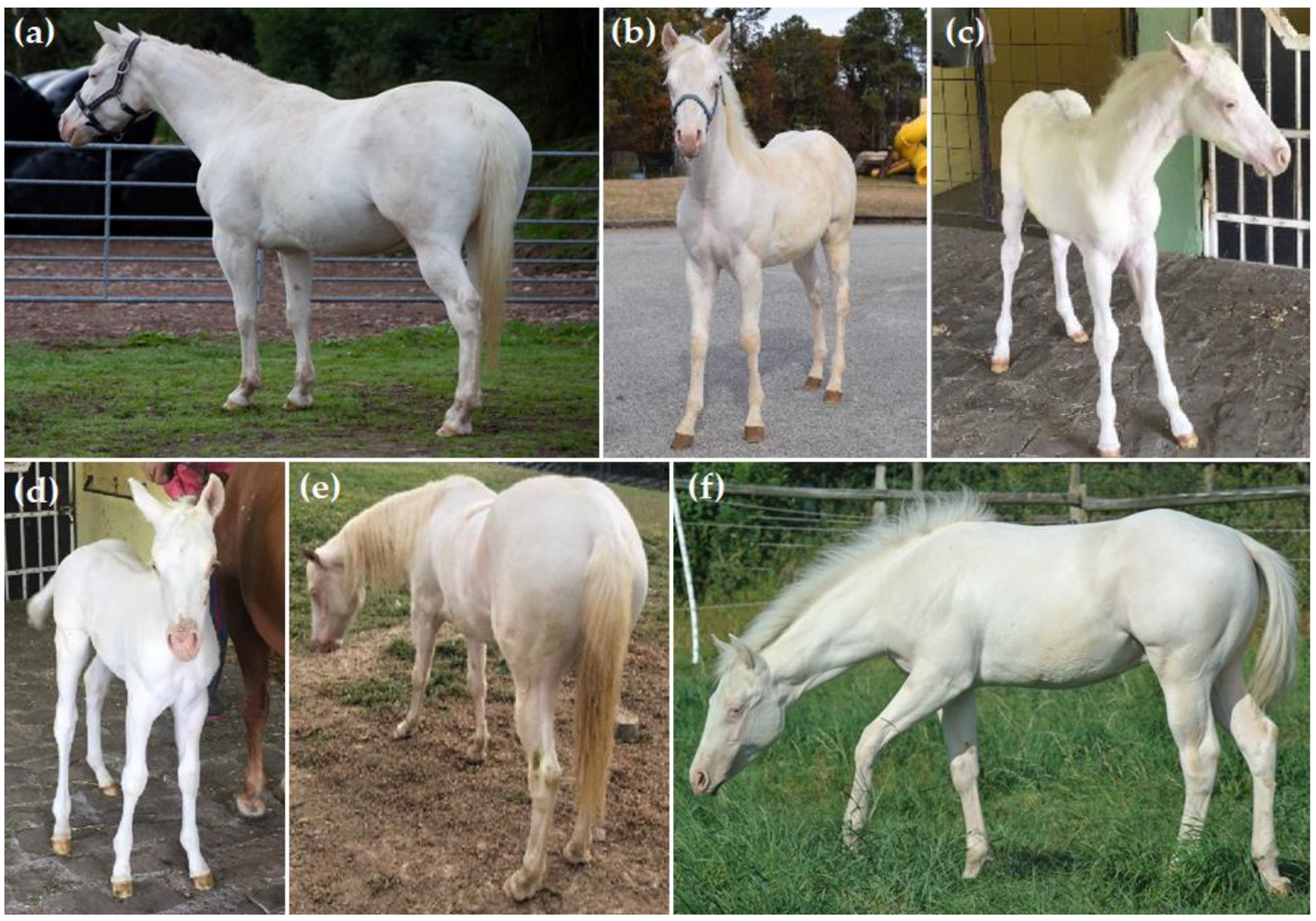 Genes 13 01641 g002 Genes 13 01641 g002