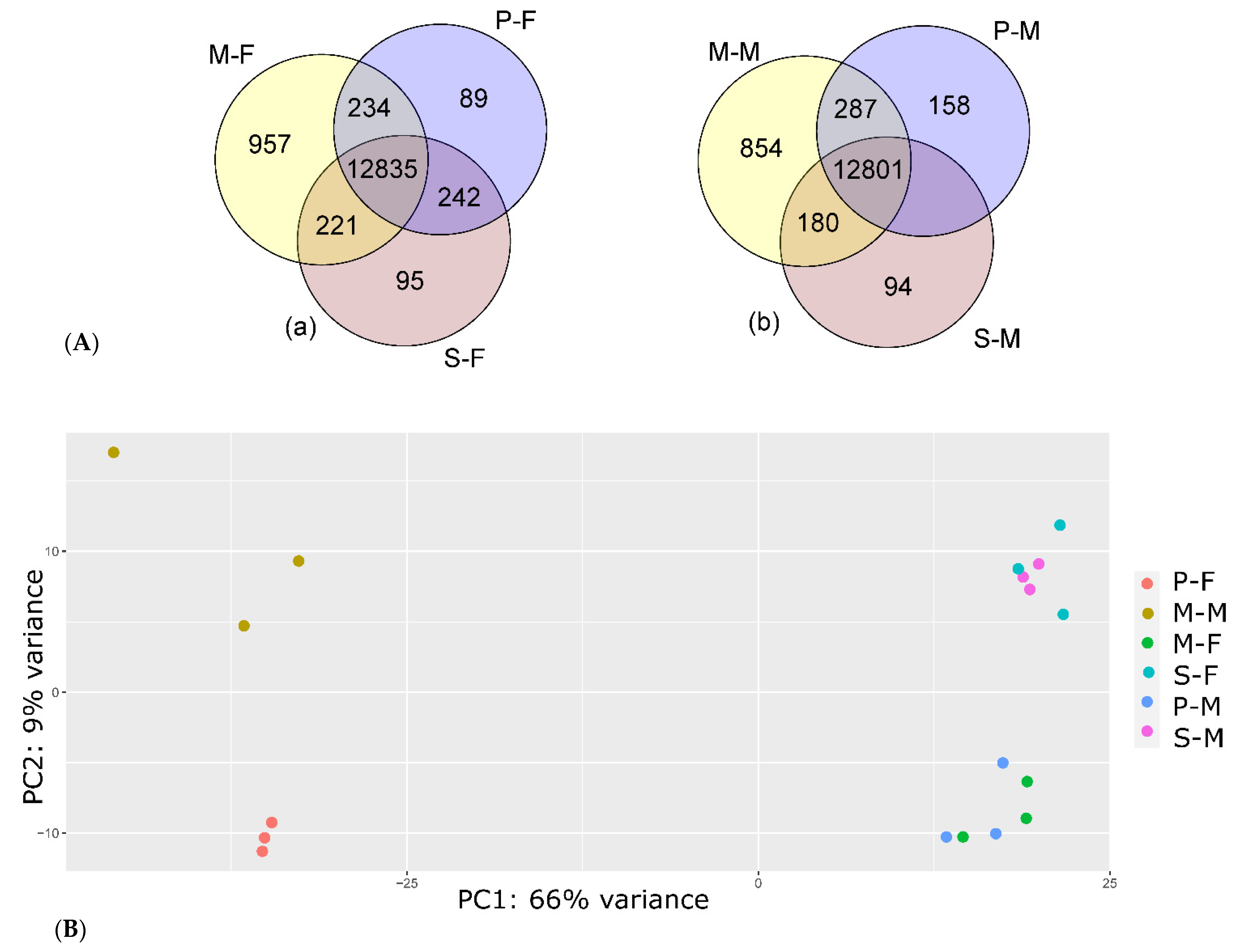 Genes 13 01645 g001 Genes 13 01645 g001