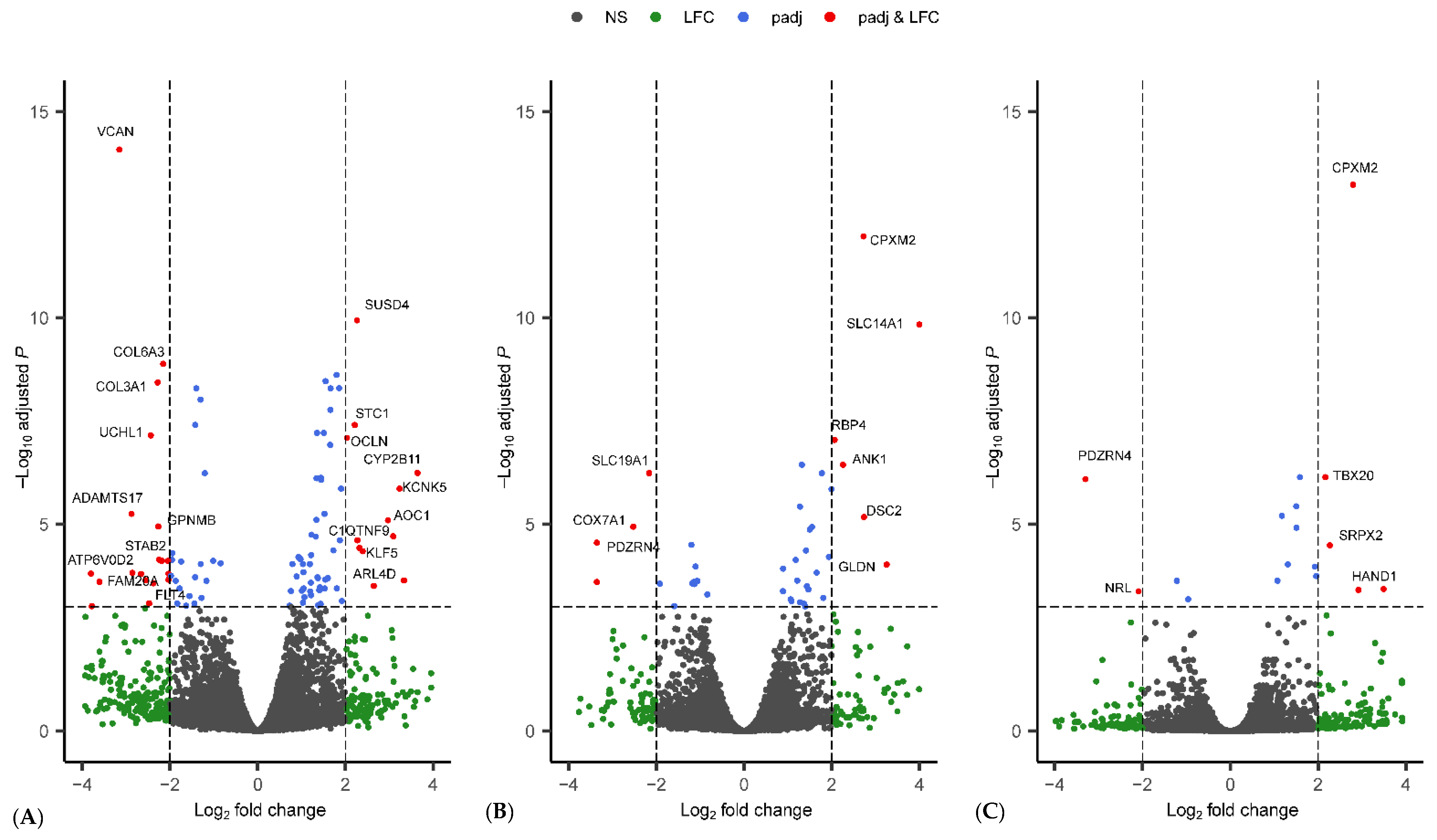 Genes 13 01645 g003 Genes 13 01645 g003