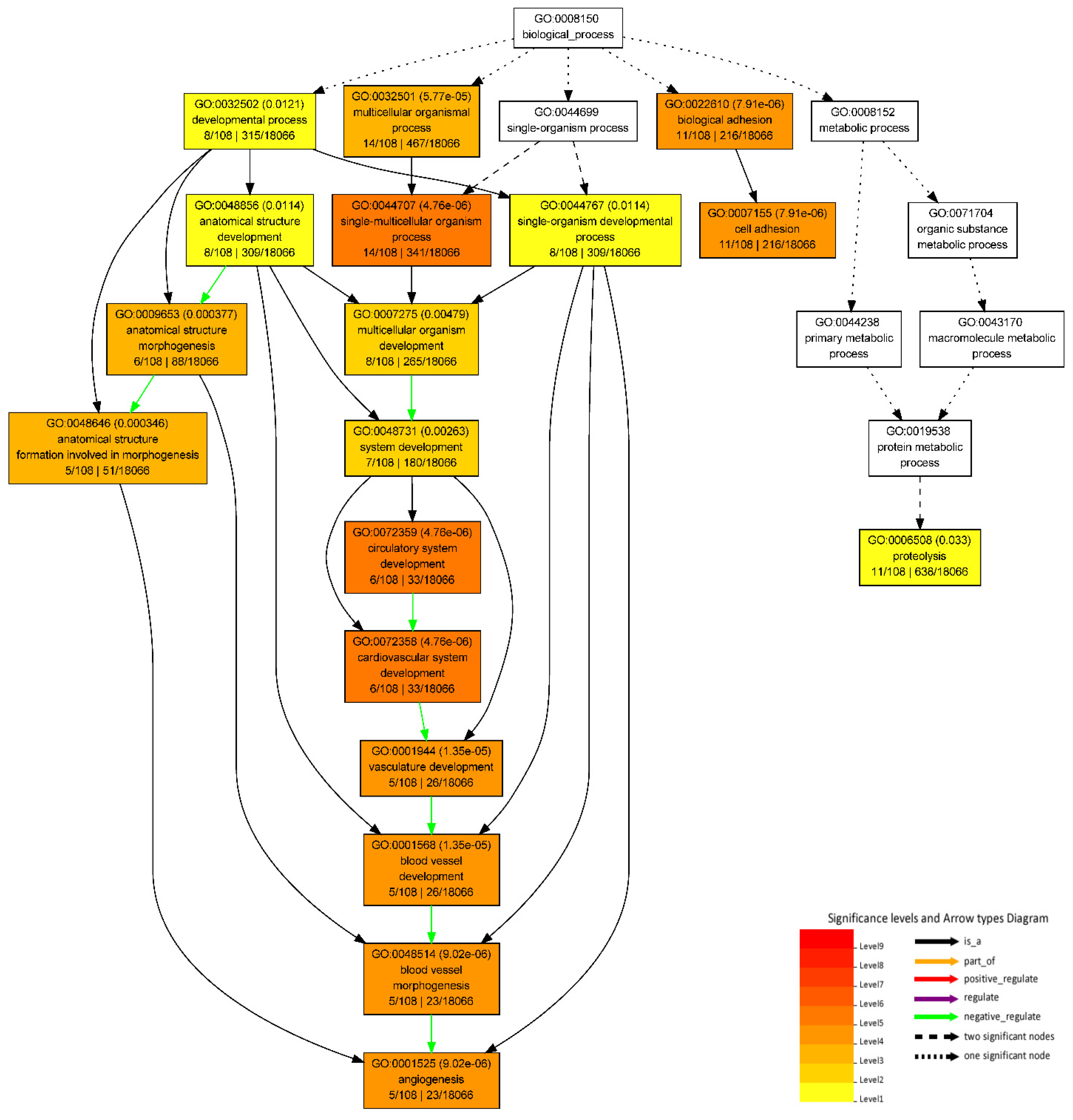 Genes 13 01645 g004 Genes 13 01645 g004