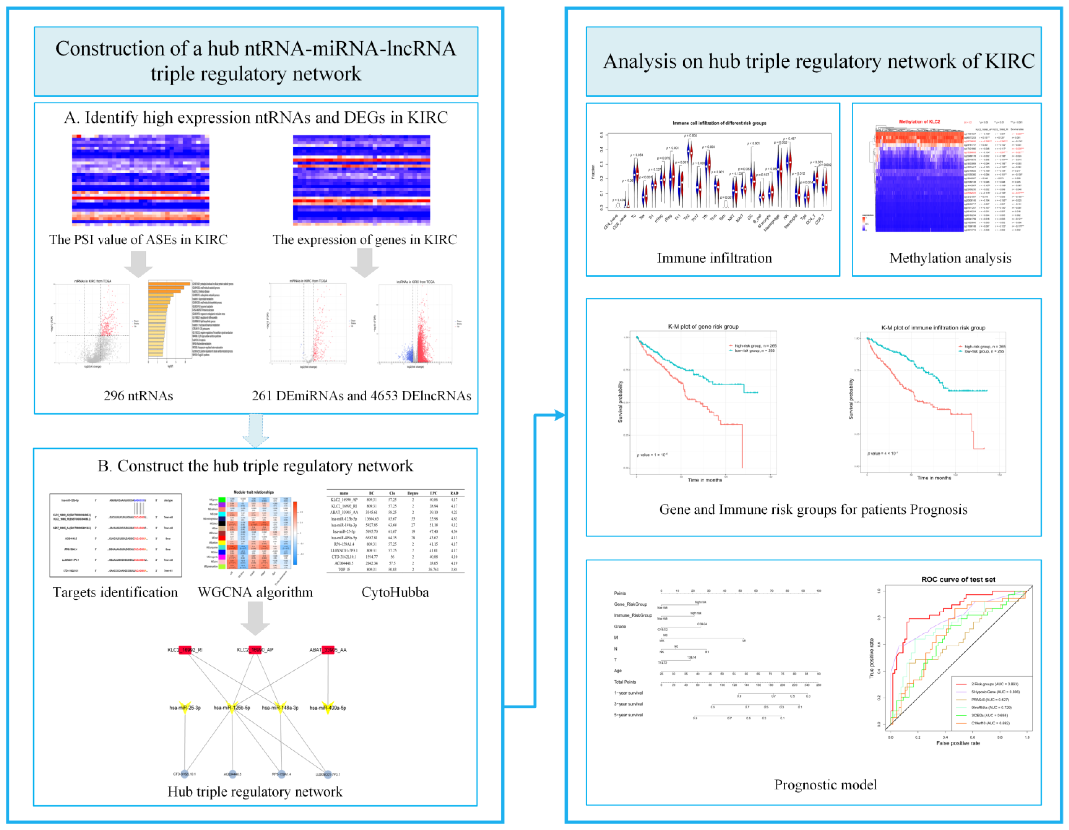 Genes 13 01656 g001 Genes 13 01656 g001