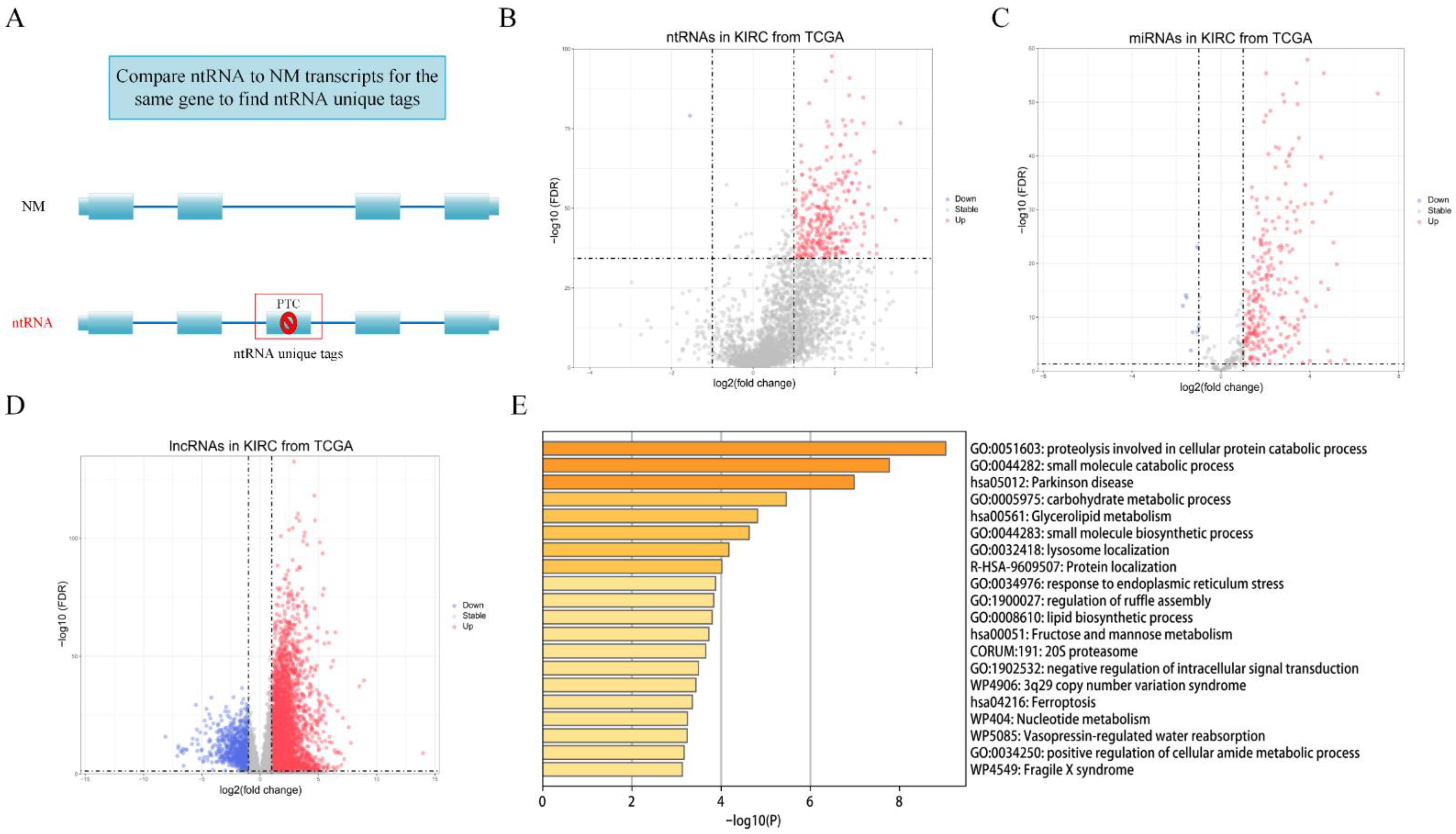 Genes 13 01656 g002 Genes 13 01656 g002