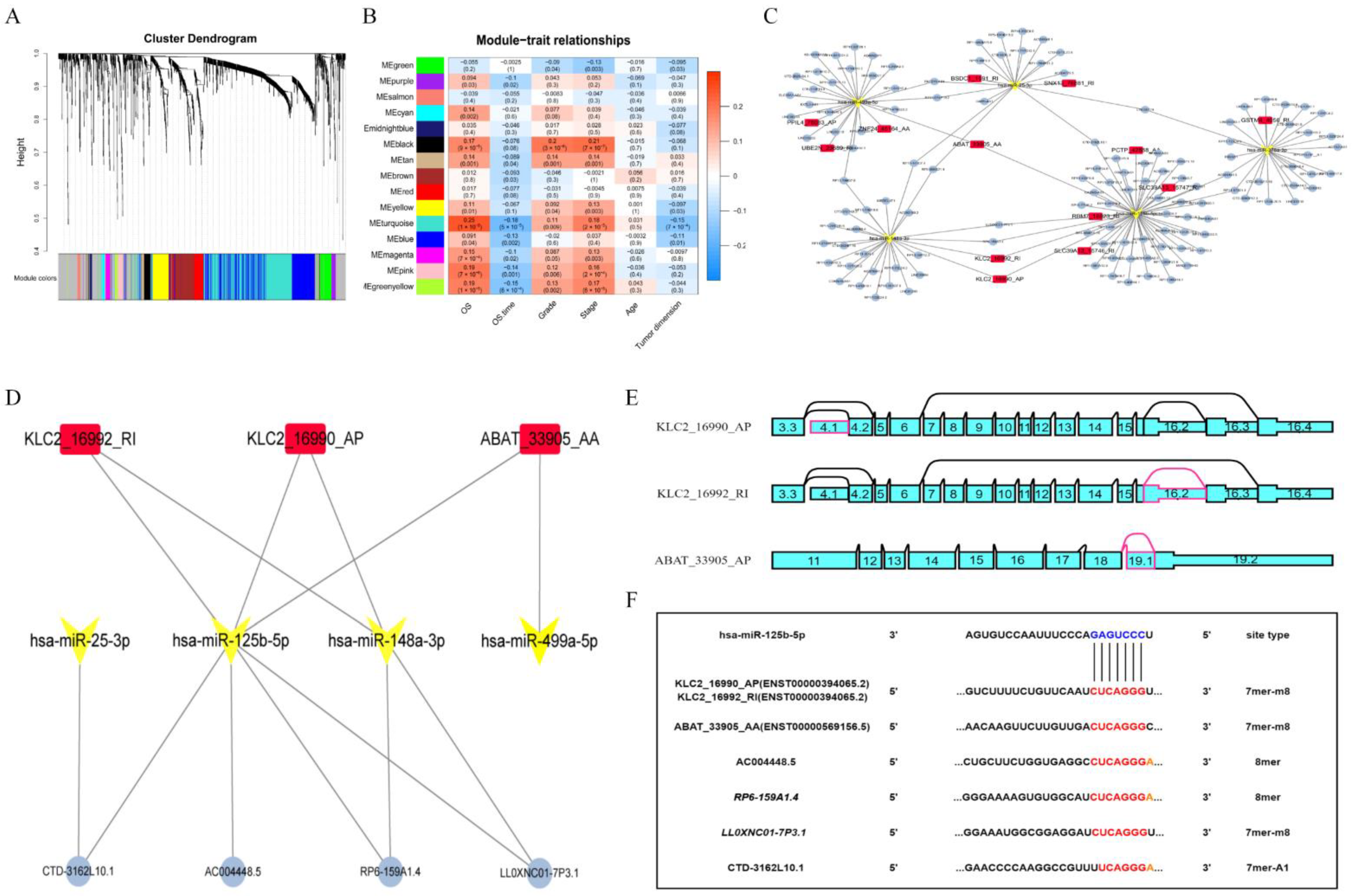 Genes 13 01656 g003 Genes 13 01656 g003