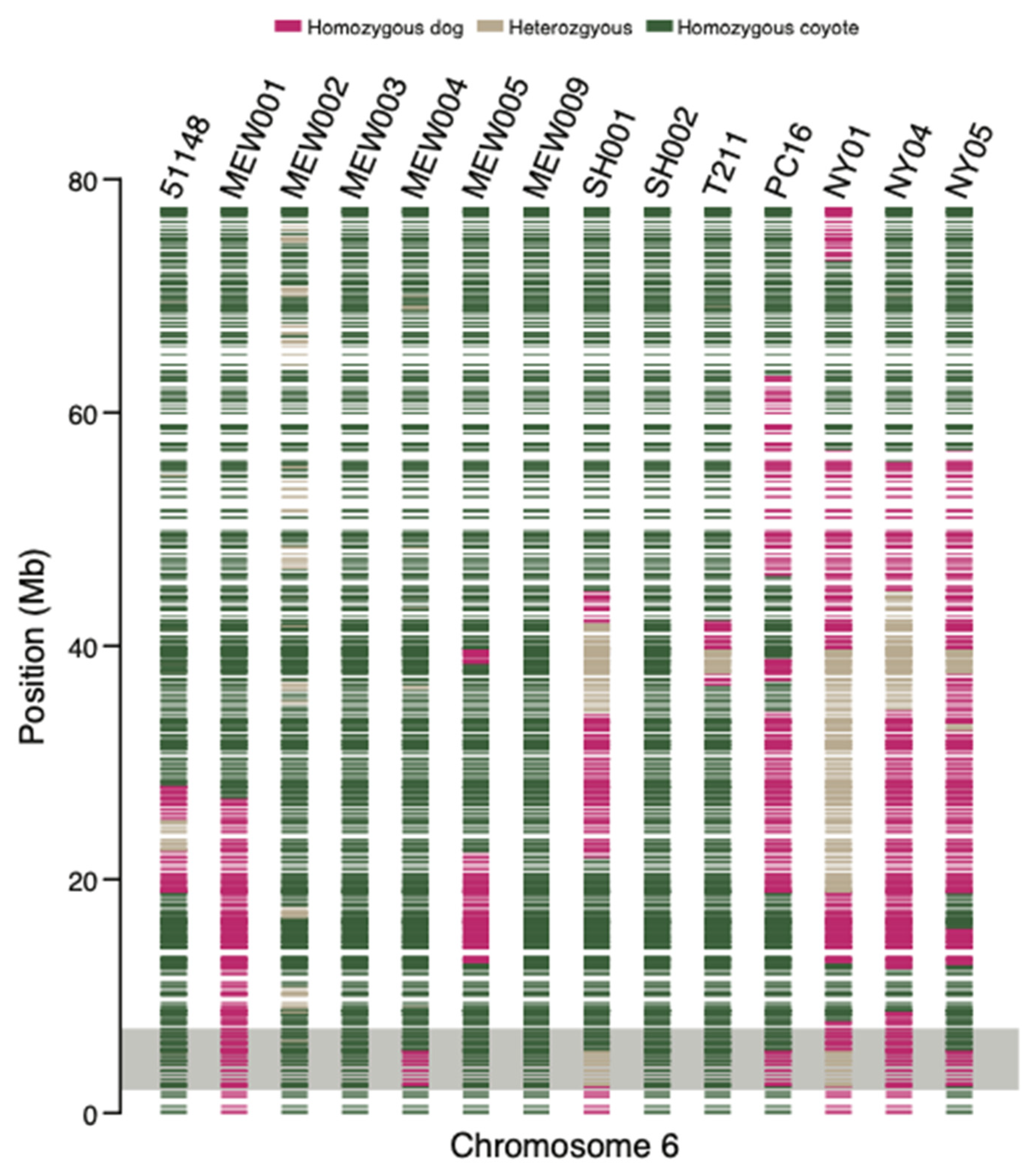 Genes 13 01661 g004