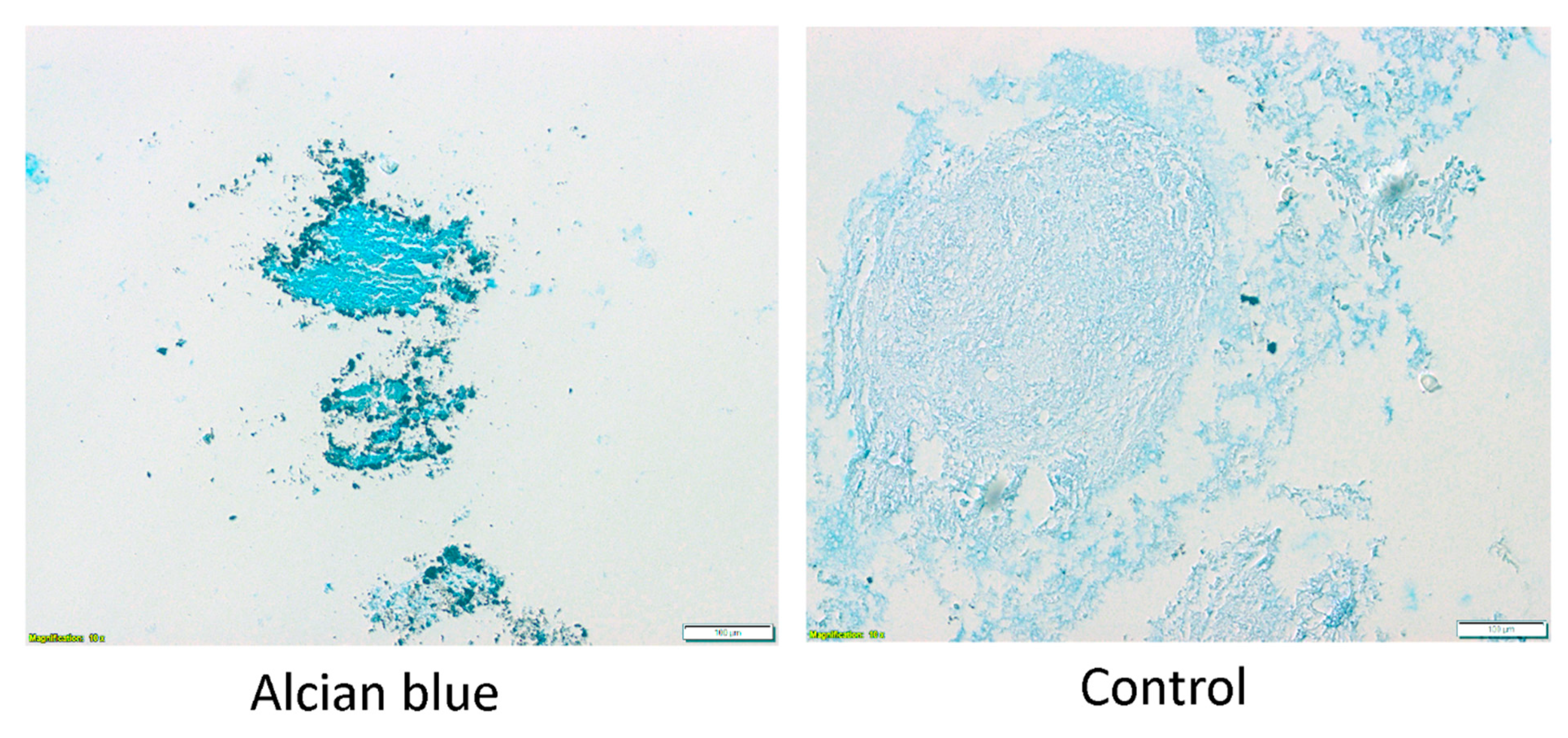 Genes 13 01664 g003 Genes 13 01664 g003