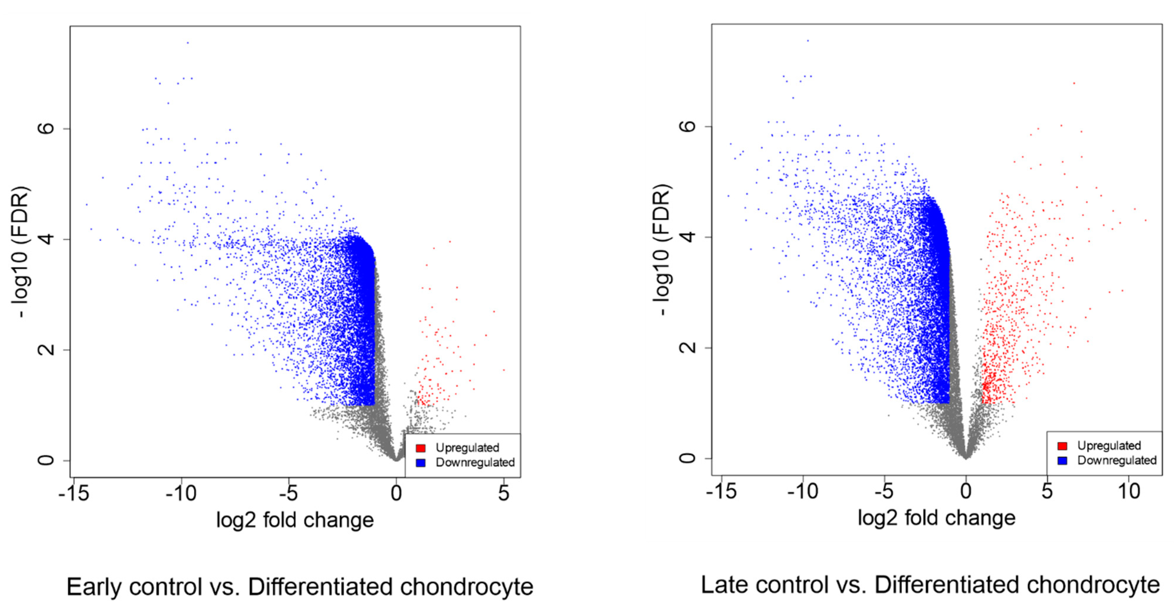 Genes 13 01664 g005 Genes 13 01664 g005