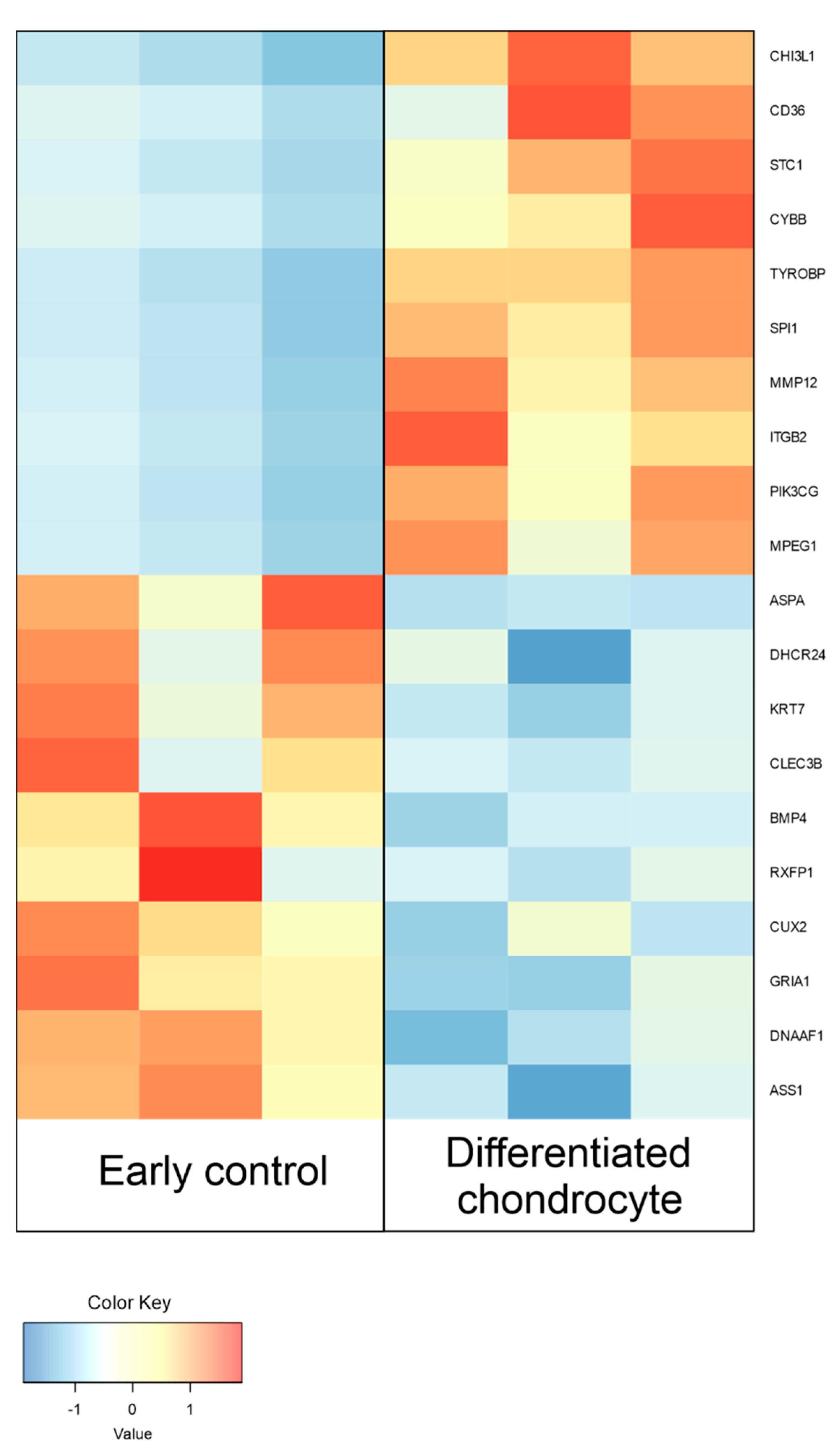 Genes 13 01664 g006 Genes 13 01664 g006