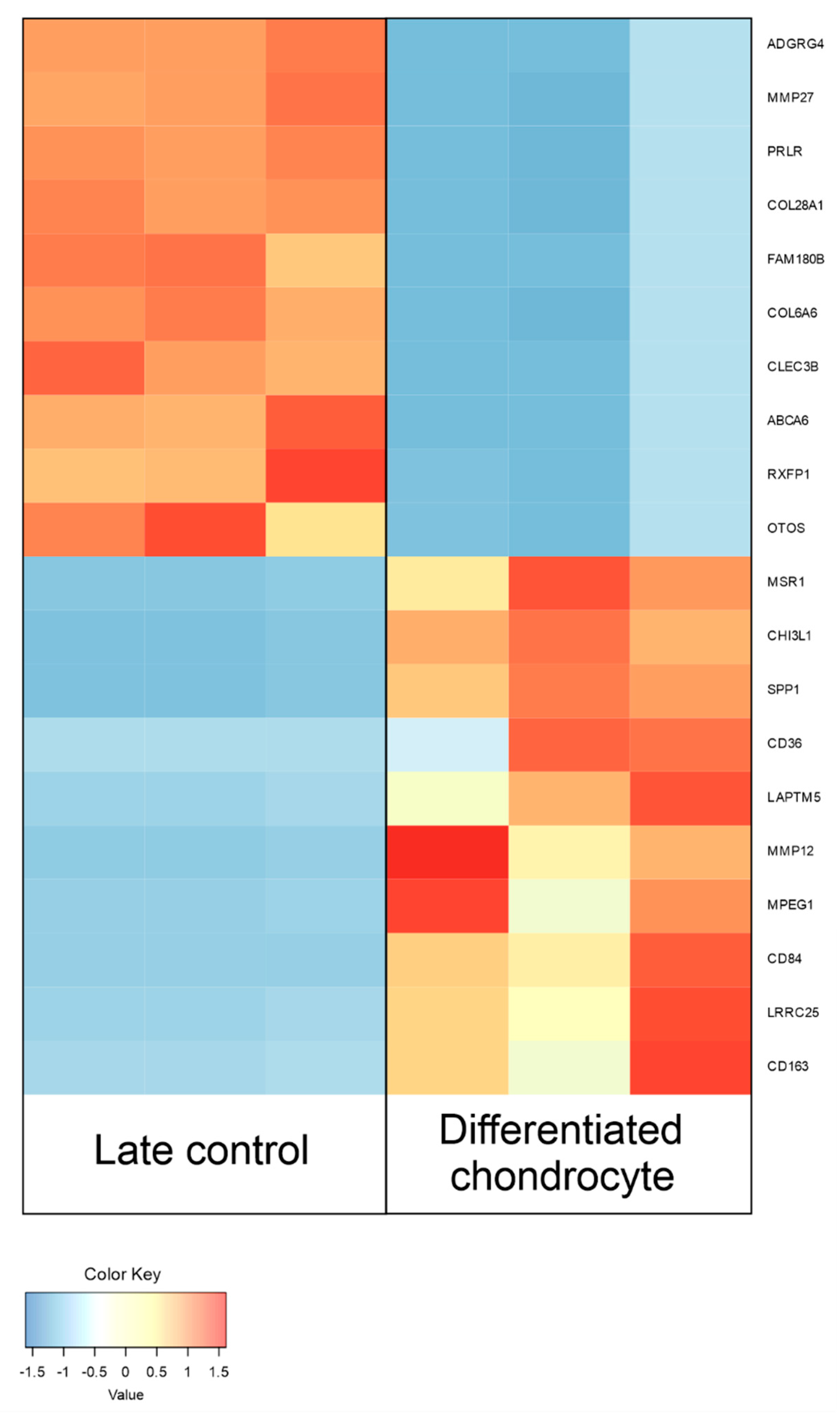 Genes 13 01664 g007 Genes 13 01664 g007