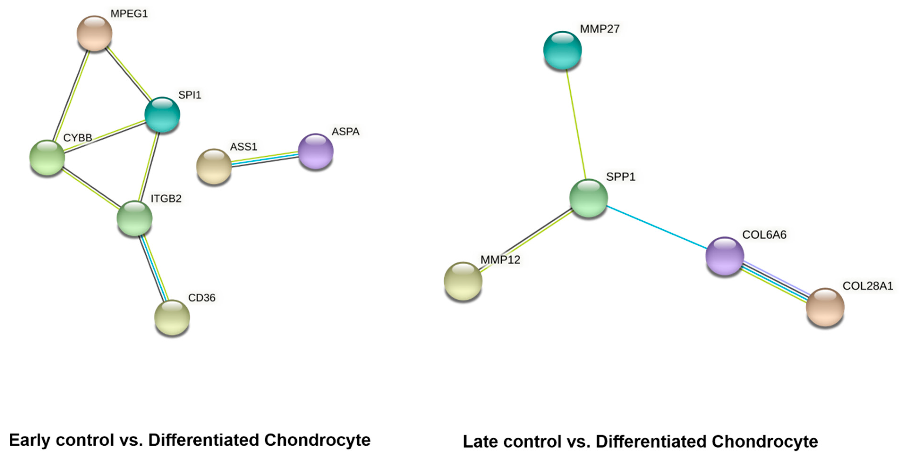 Genes 13 01664 g008 Genes 13 01664 g008