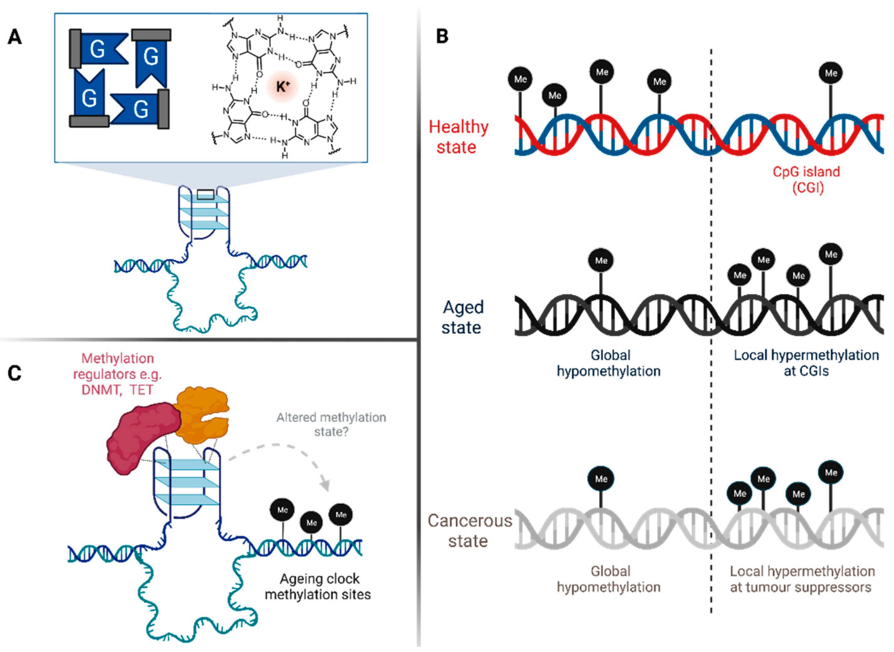 Genes 13 01665 g001 Genes 13 01665 g001