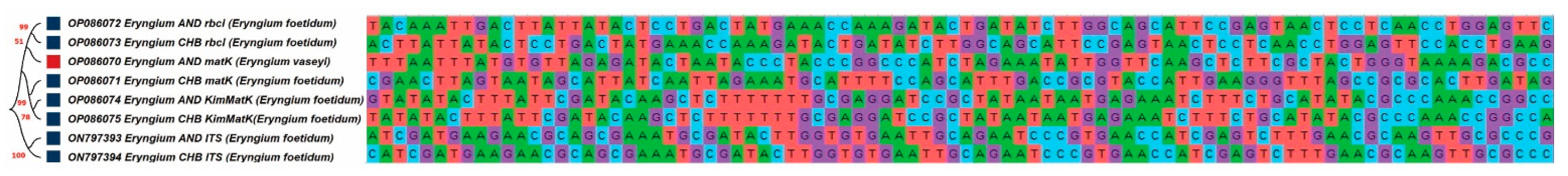 Genes 13 01678 g002