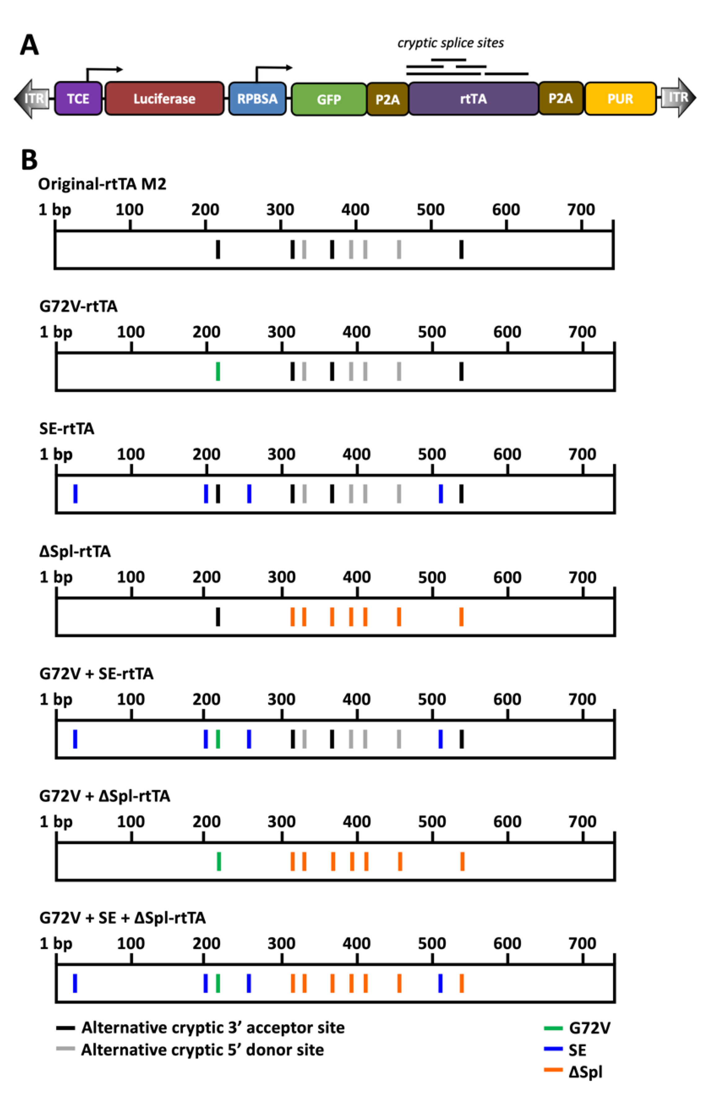 Genes 13 01679 g002 Genes 13 01679 g002