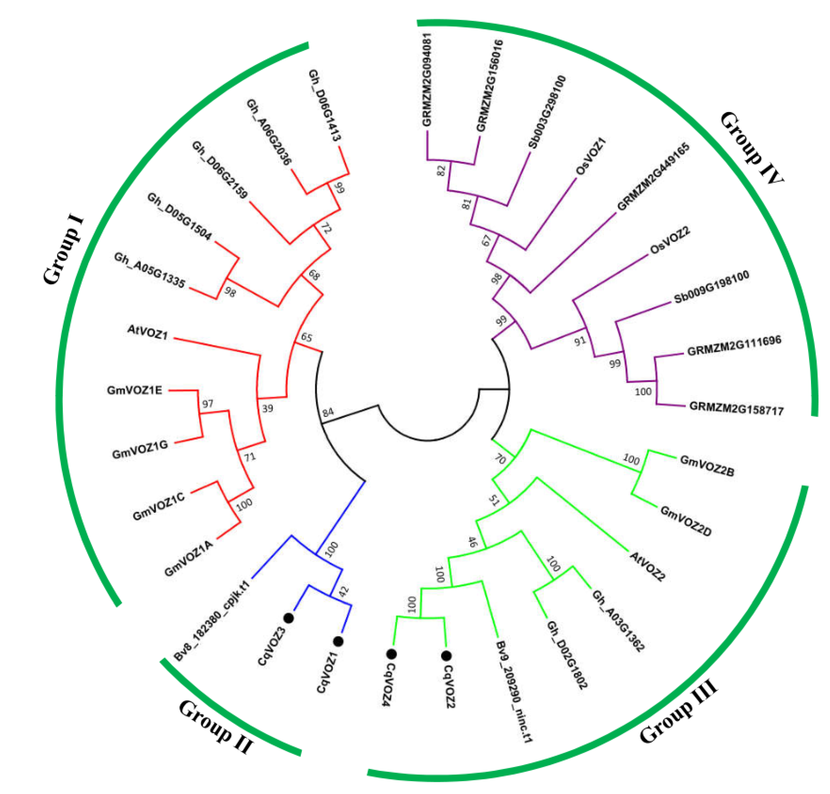 Genes 13 01695 g002 Genes 13 01695 g002