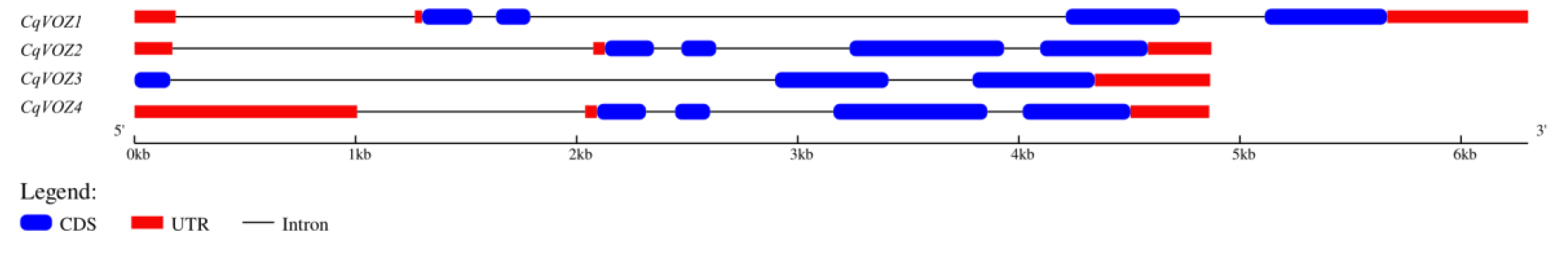 Genes 13 01695 g003 Genes 13 01695 g003