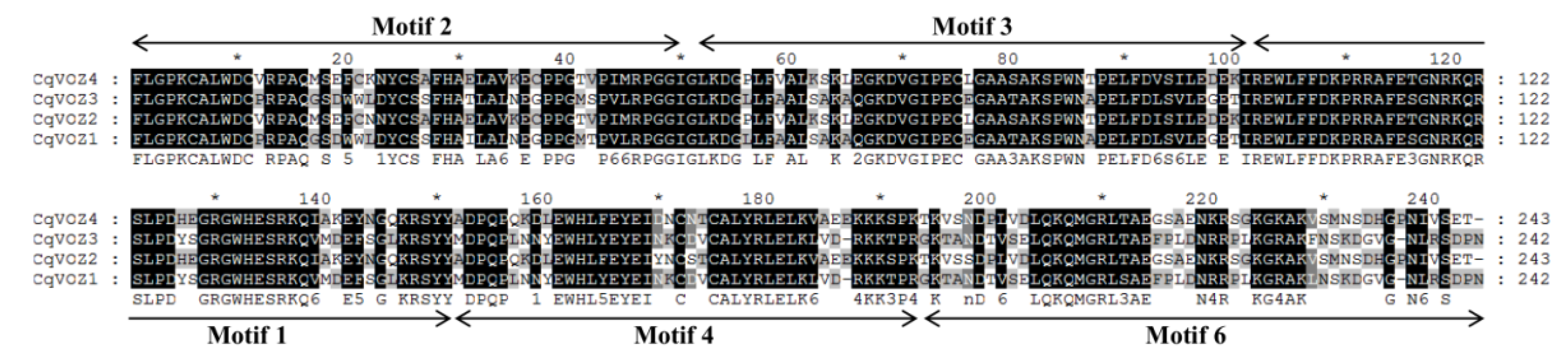 Genes 13 01695 g005 Genes 13 01695 g005
