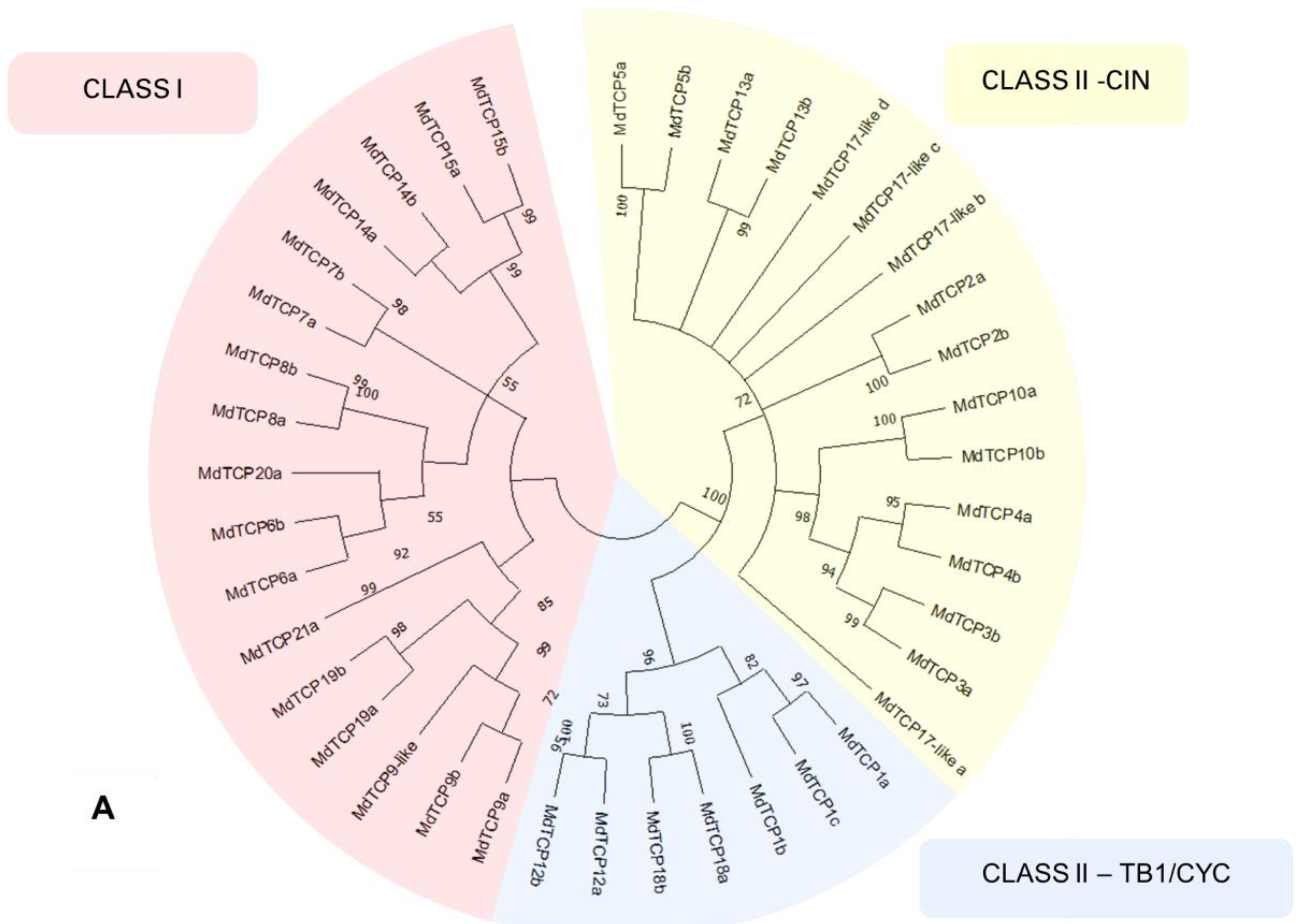 Genes 13 01696 g004a